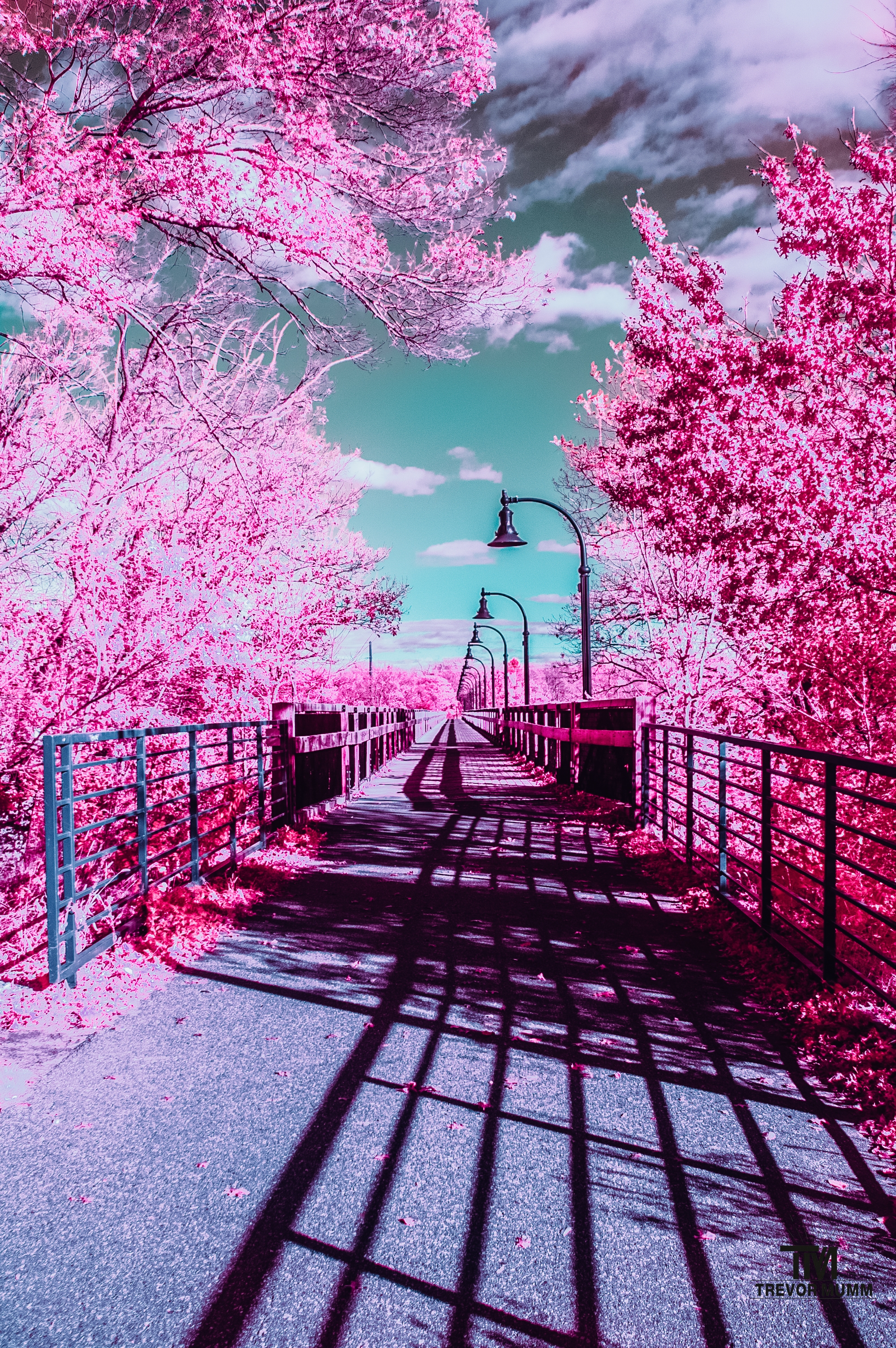 Aerochrome | High Bridge