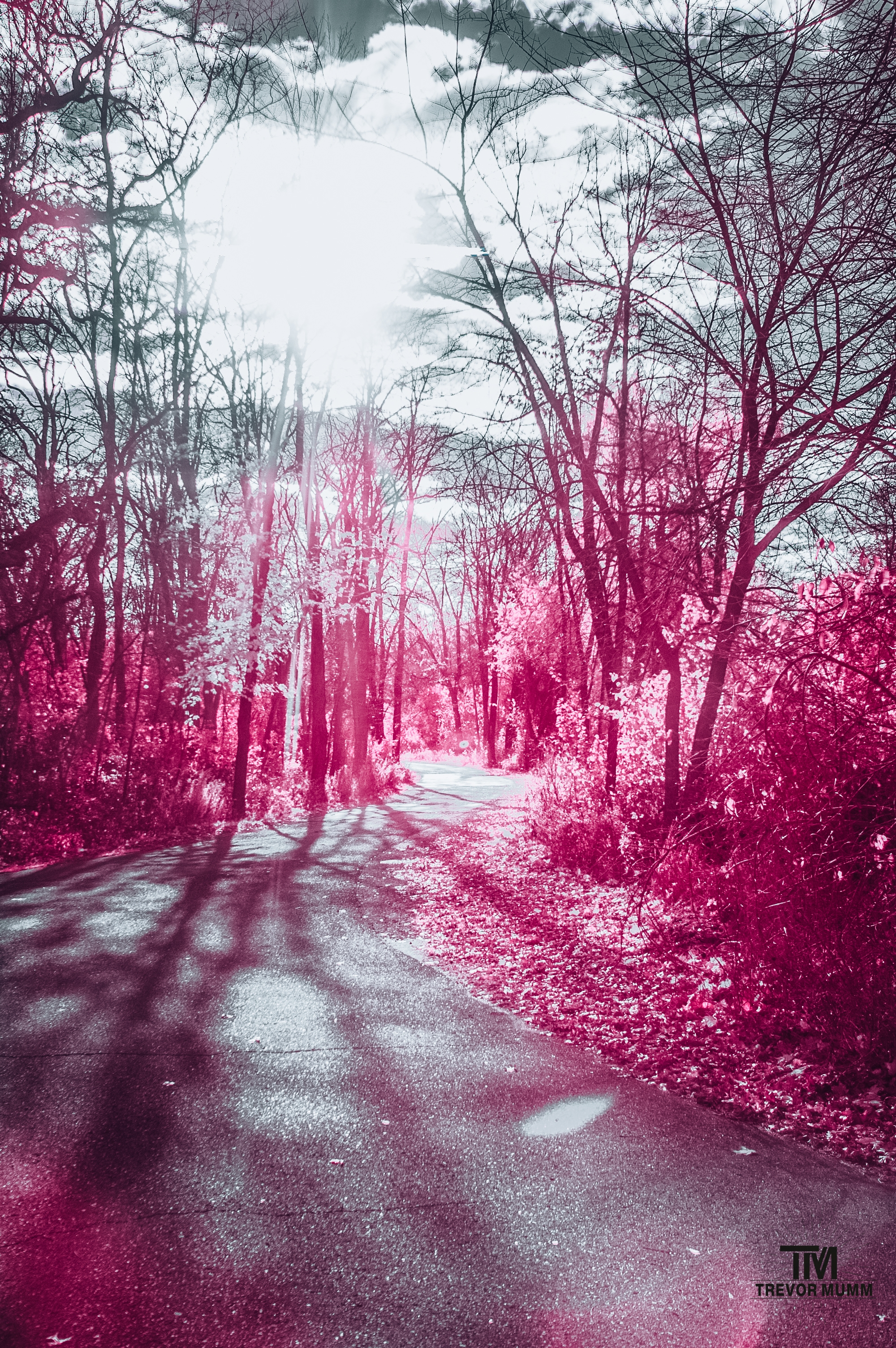 Aerochrome | Rod & Gun