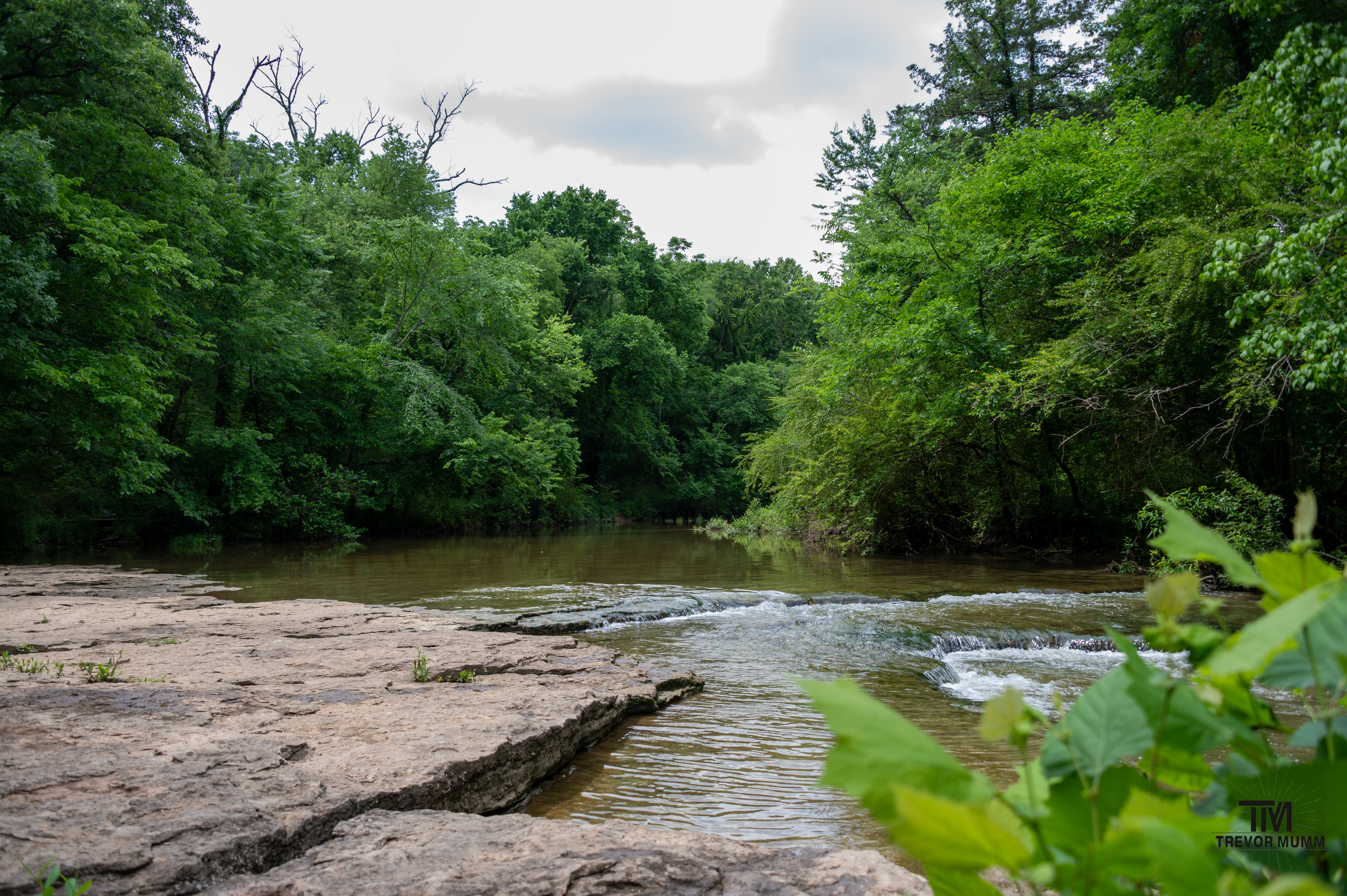 Barfield Park | TN