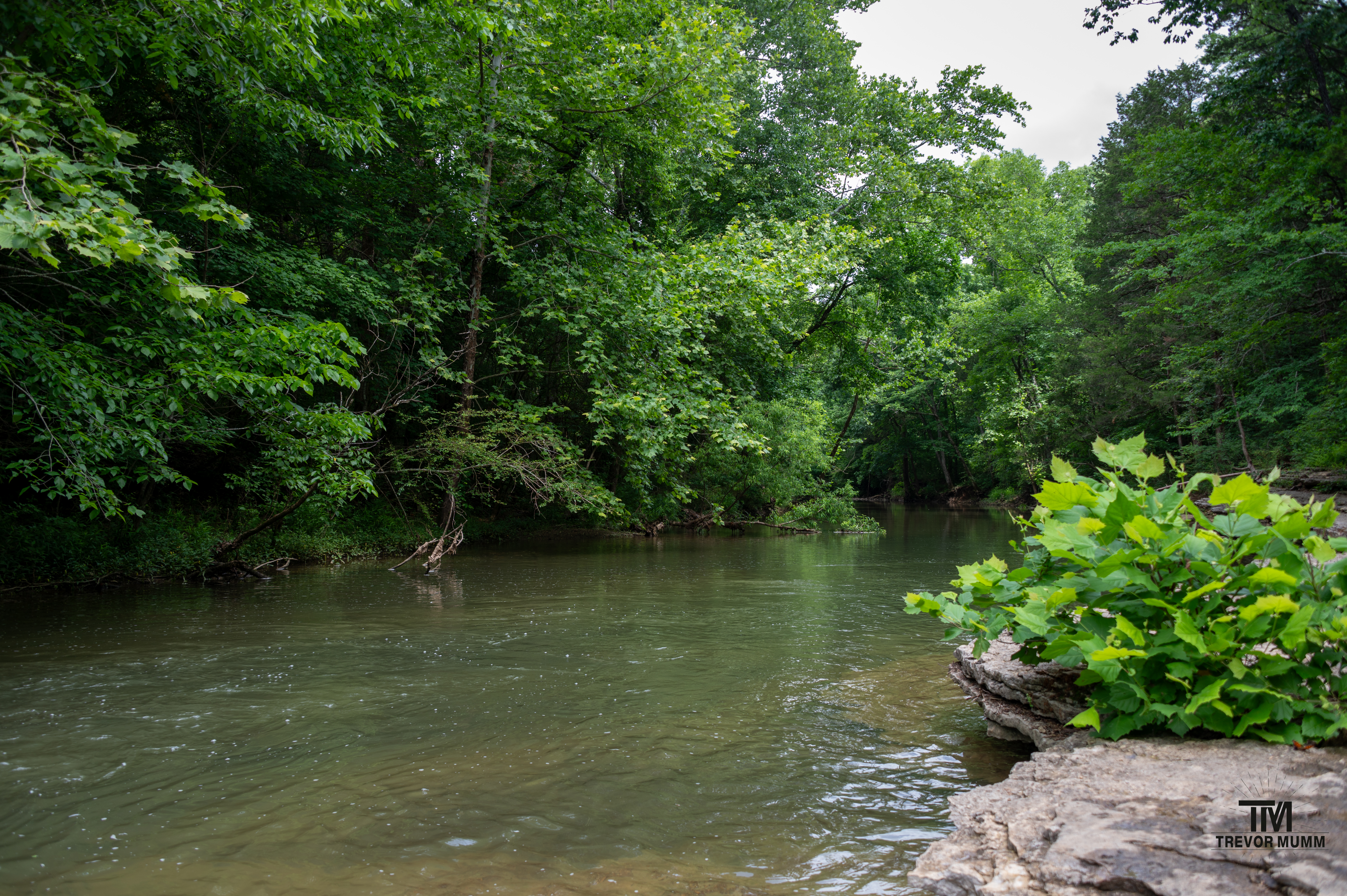 Barfield Park | TN