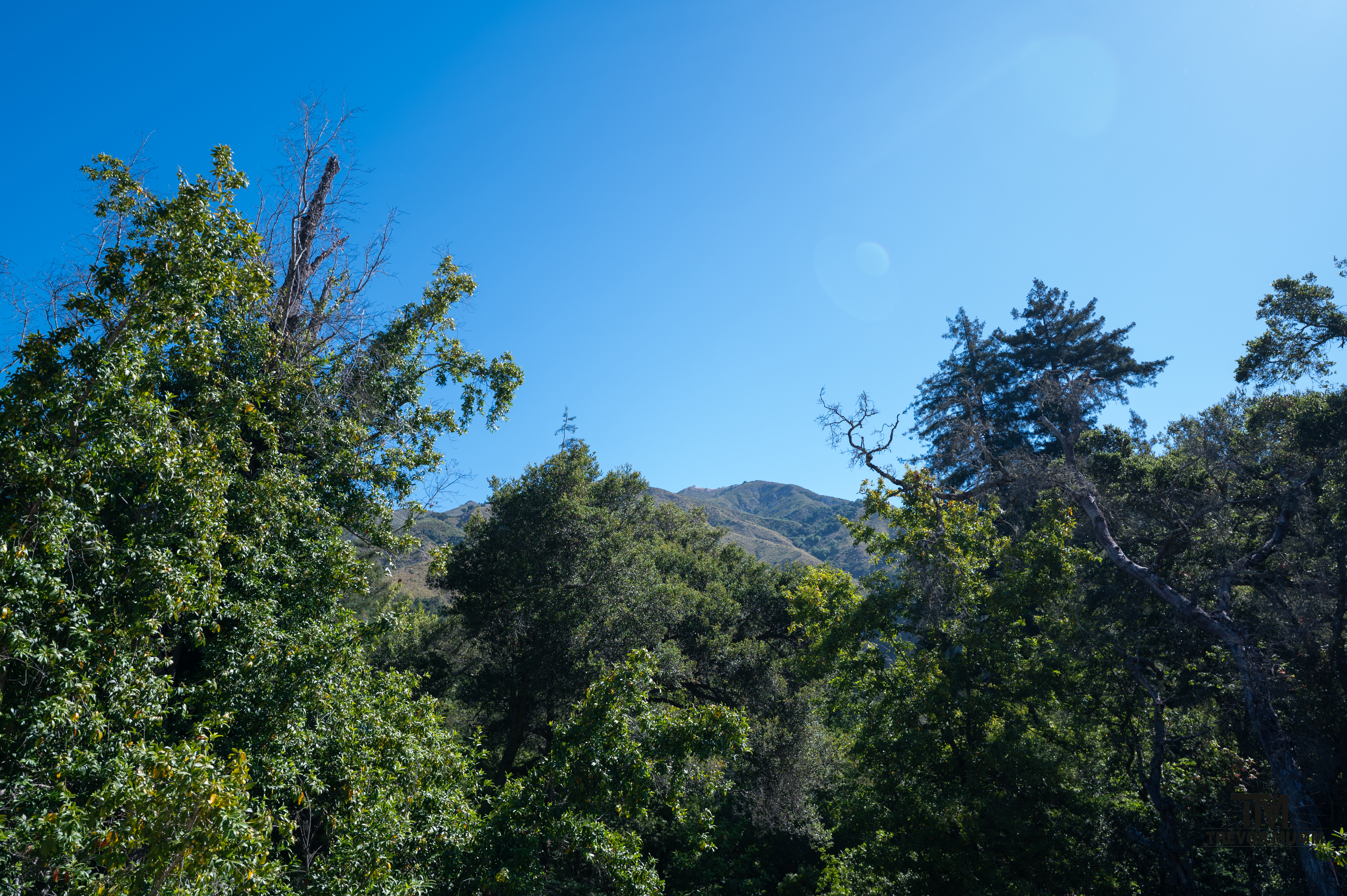 Cali Coast & Big Sur 2025