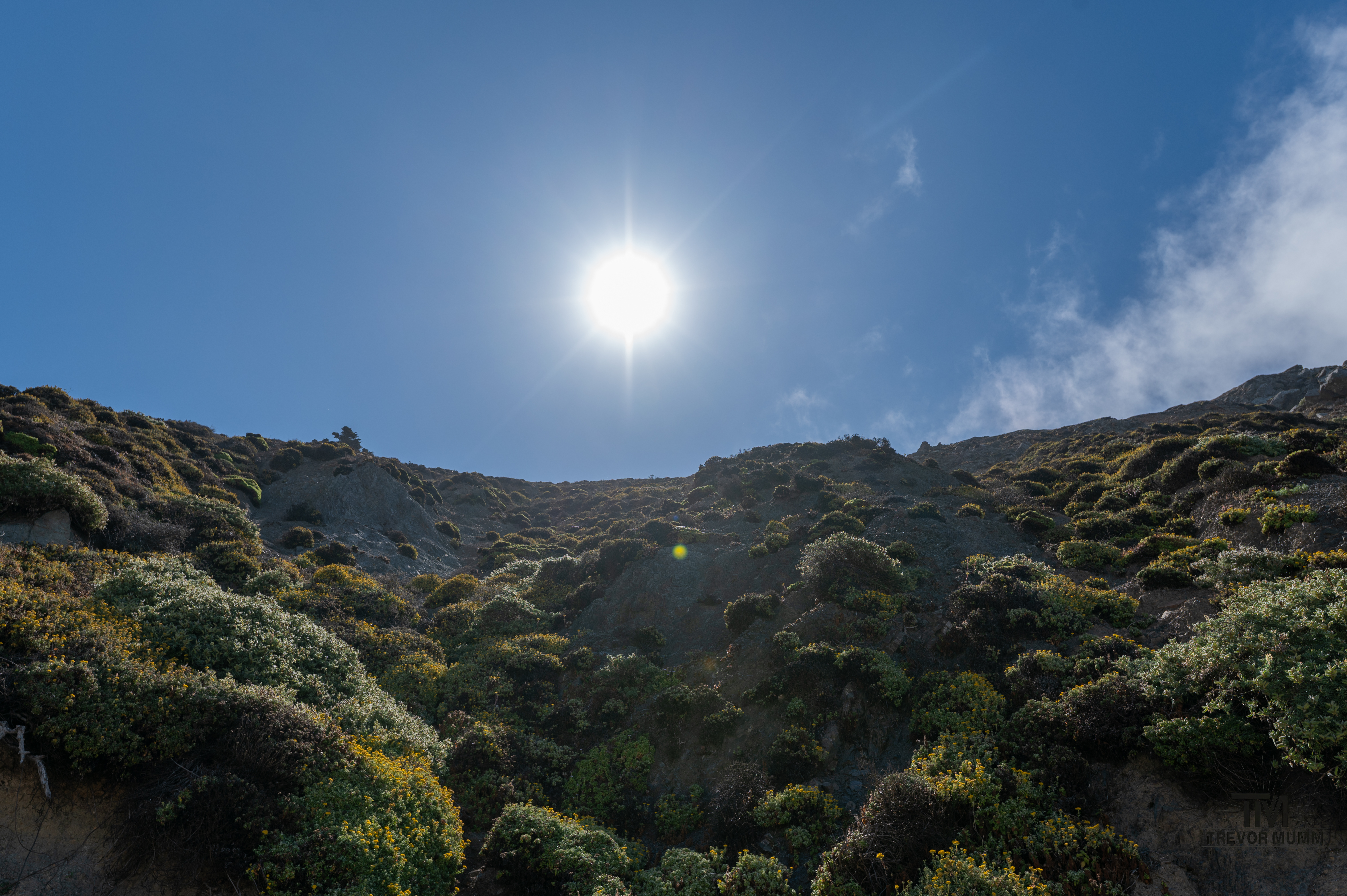 Cali Coast & Big Sur 2025