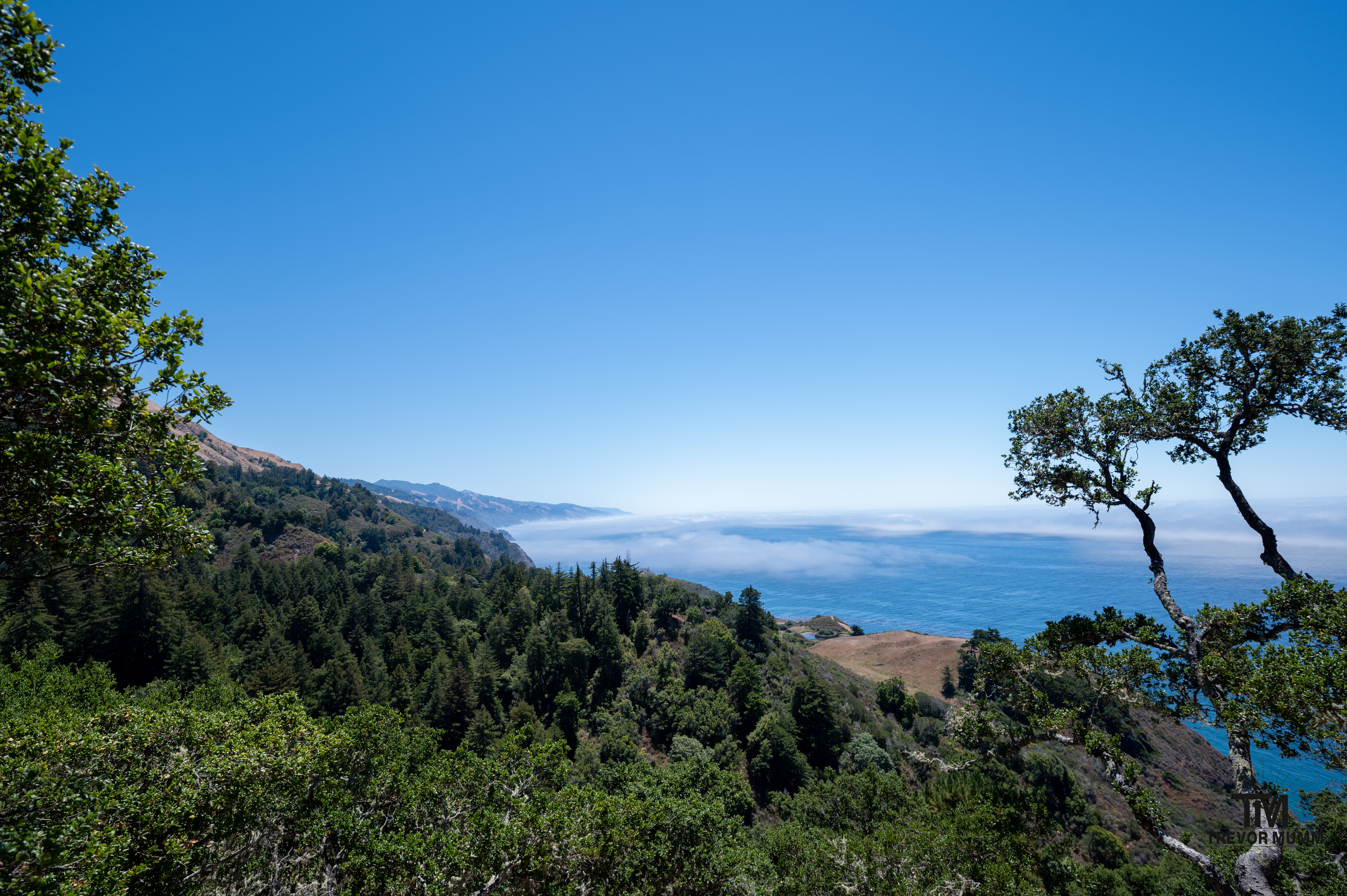 Cali Coast & Big Sur 2025