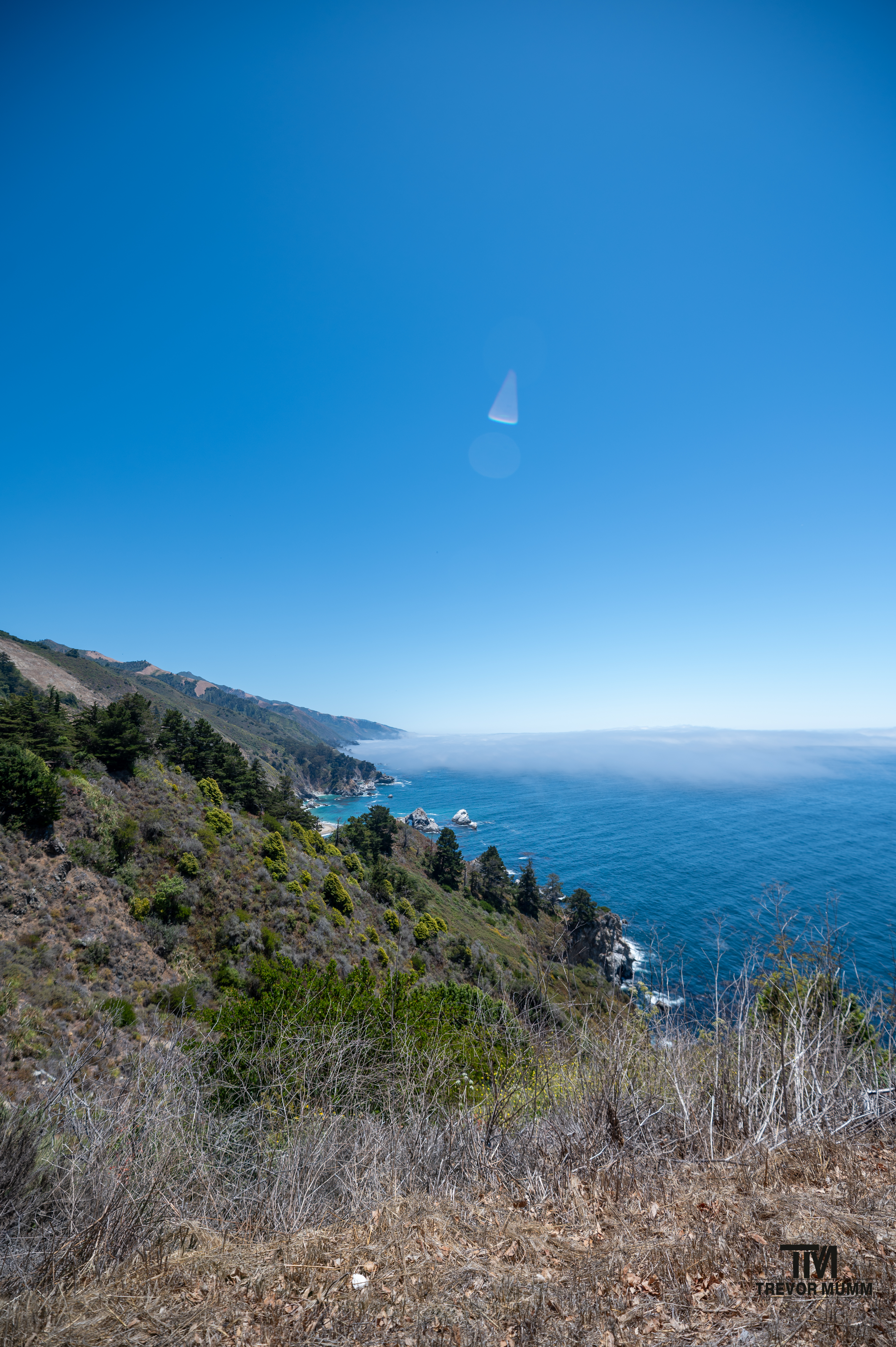 Cali Coast & Big Sur 2025