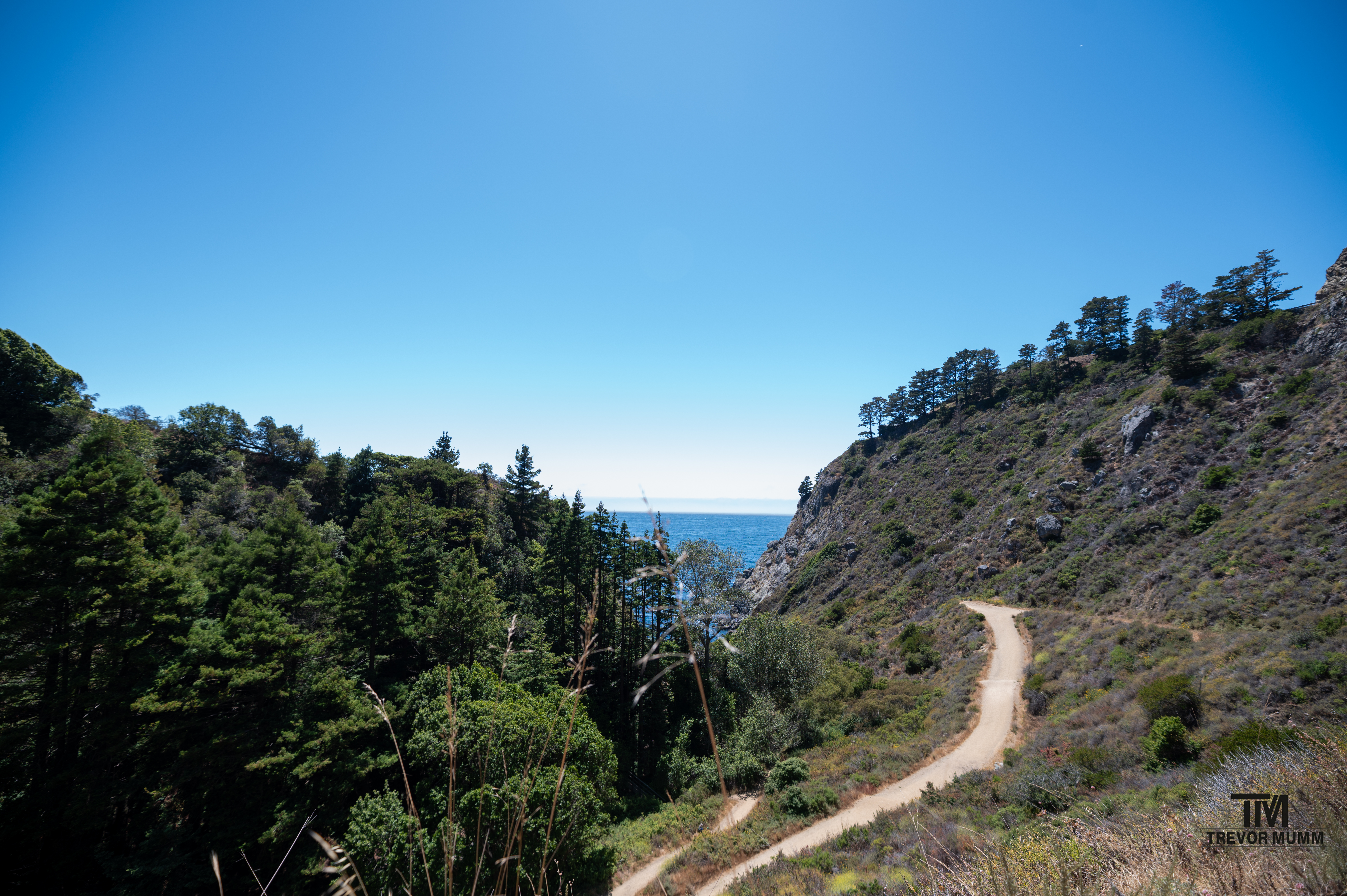 Cali Coast & Big Sur 2025