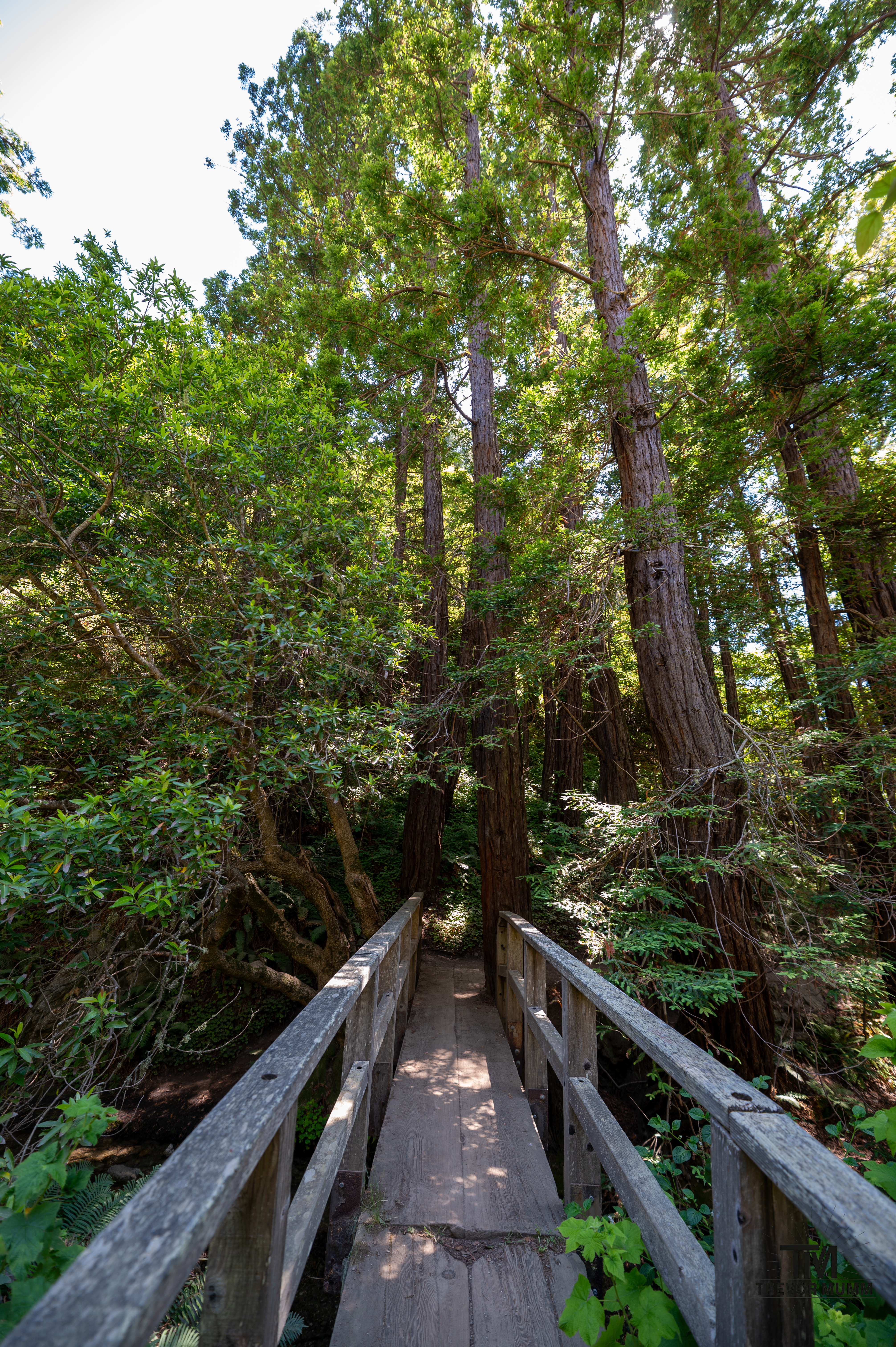 Cali Coast & Big Sur 2025