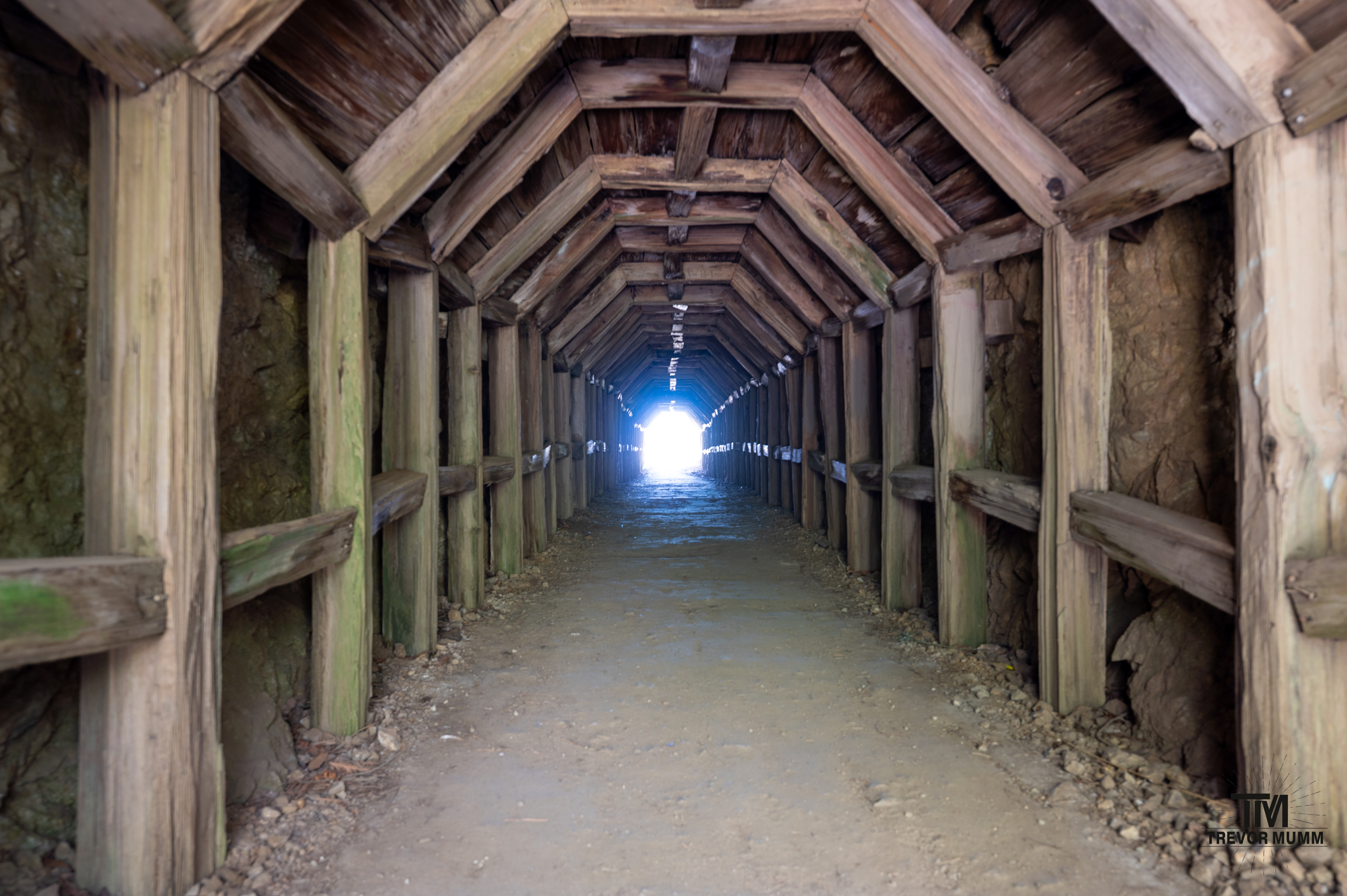 Cali Coast & Big Sur 2025