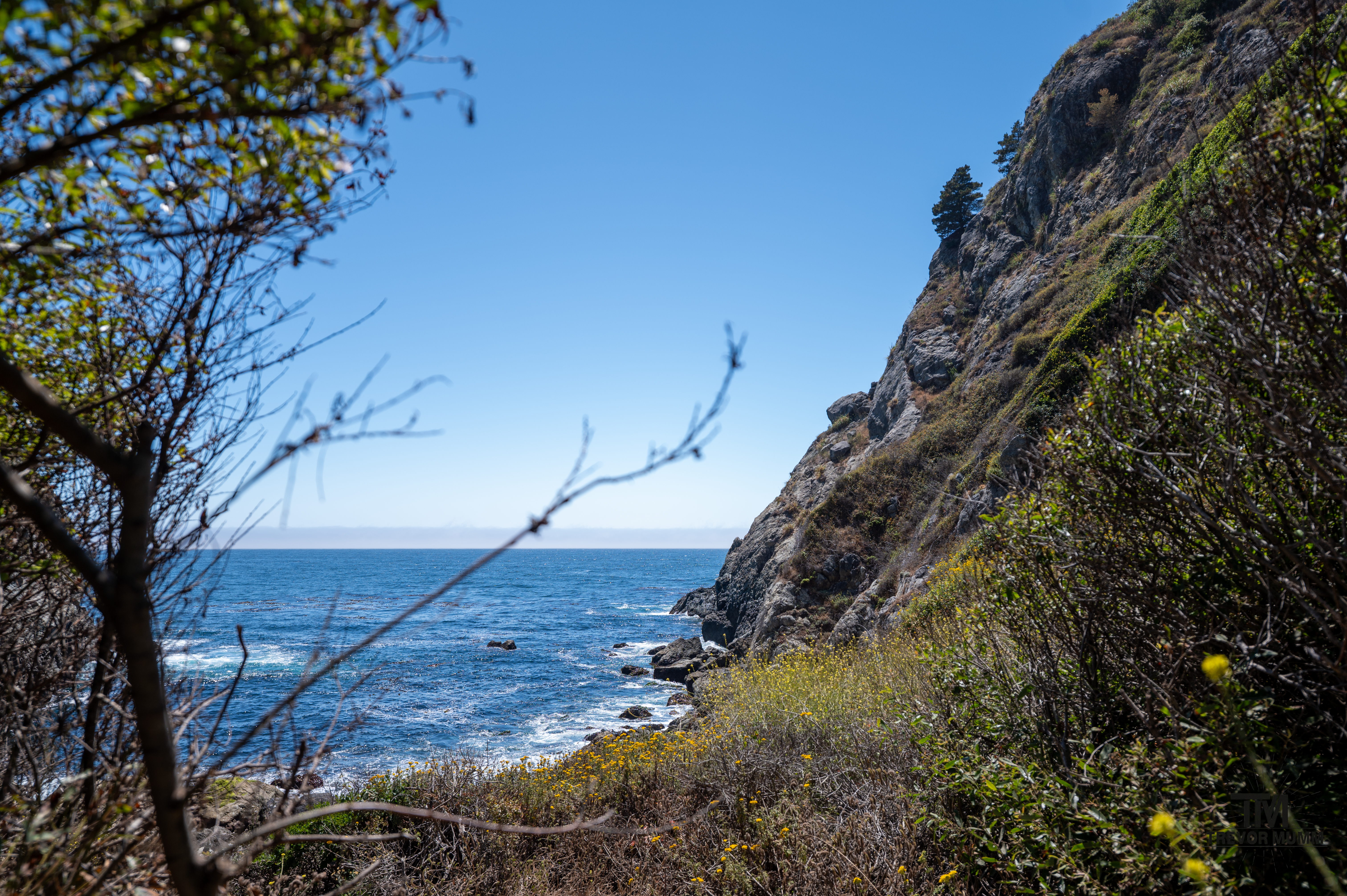 Cali Coast & Big Sur 2025