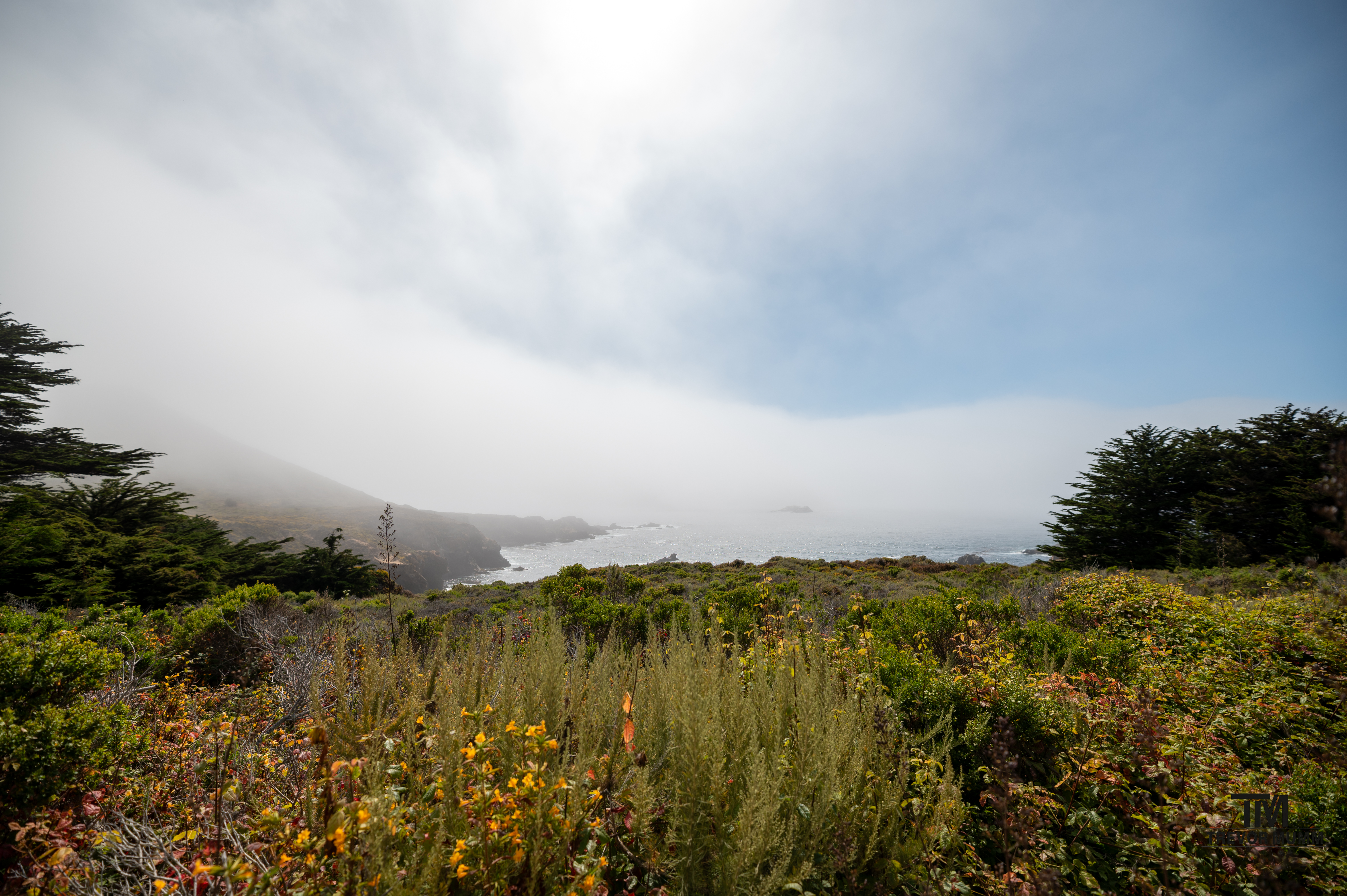 Cali Coast & Big Sur 2025