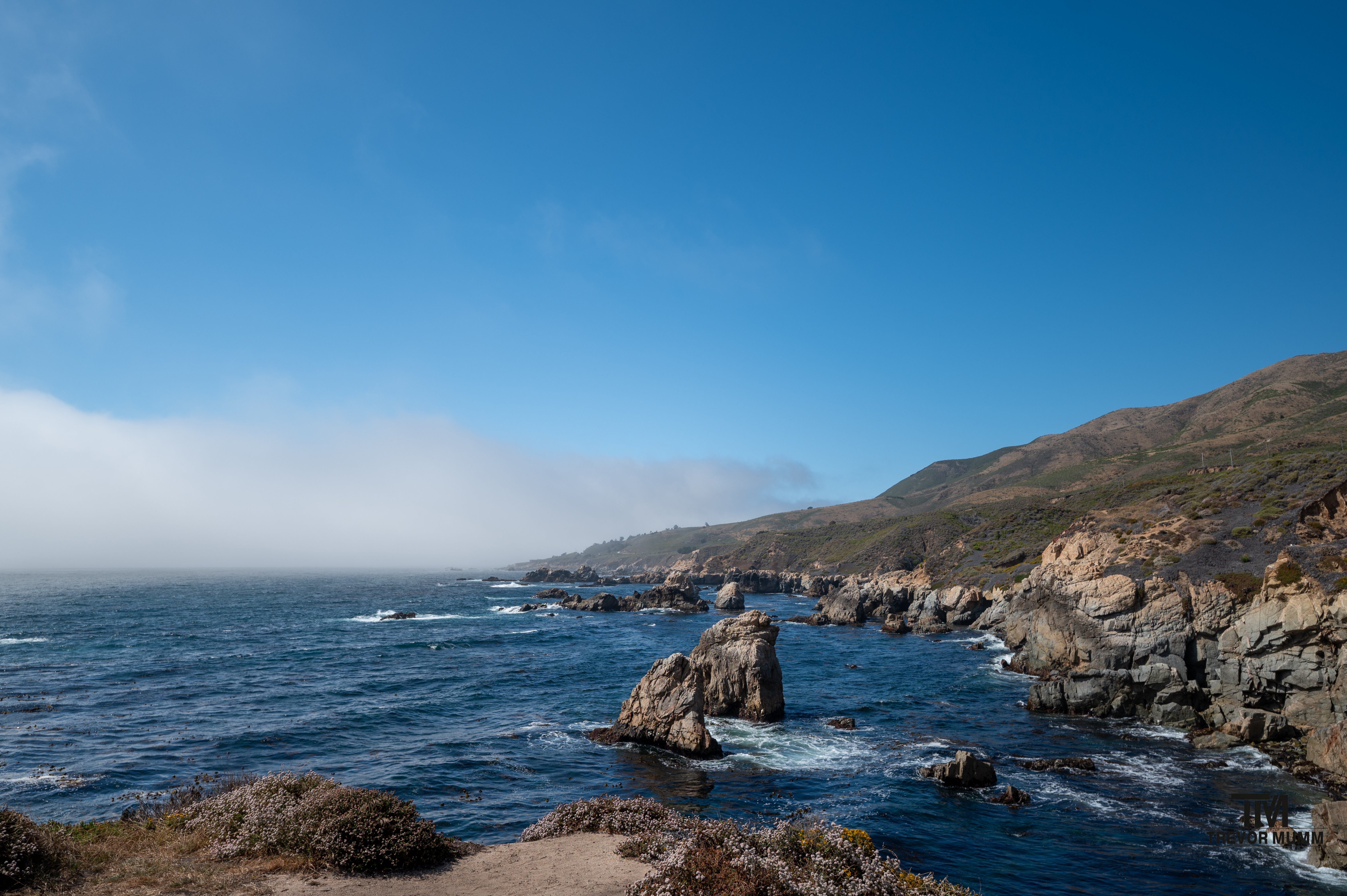 Cali Coast & Big Sur 2025