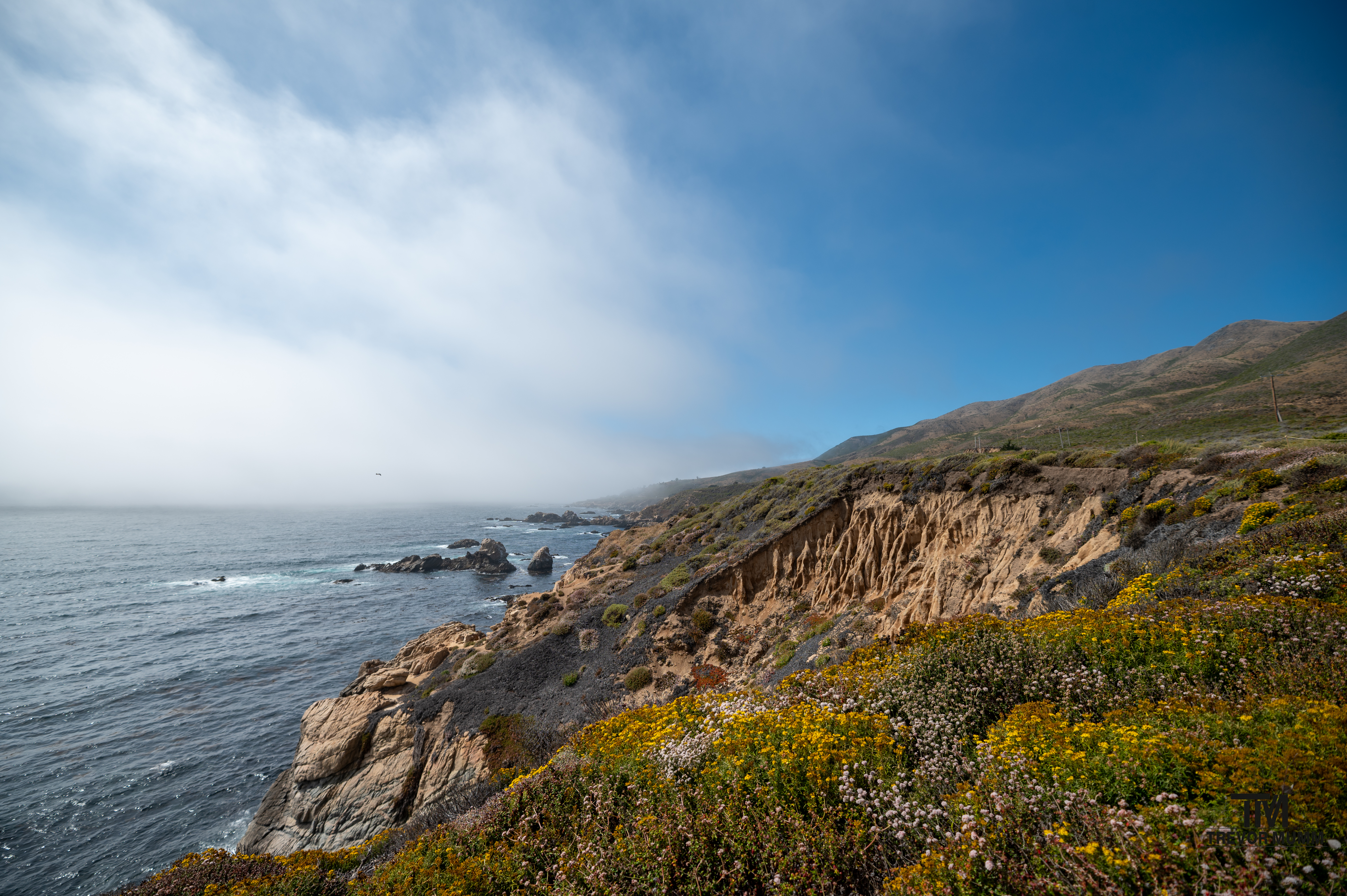 Cali Coast & Big Sur 2025