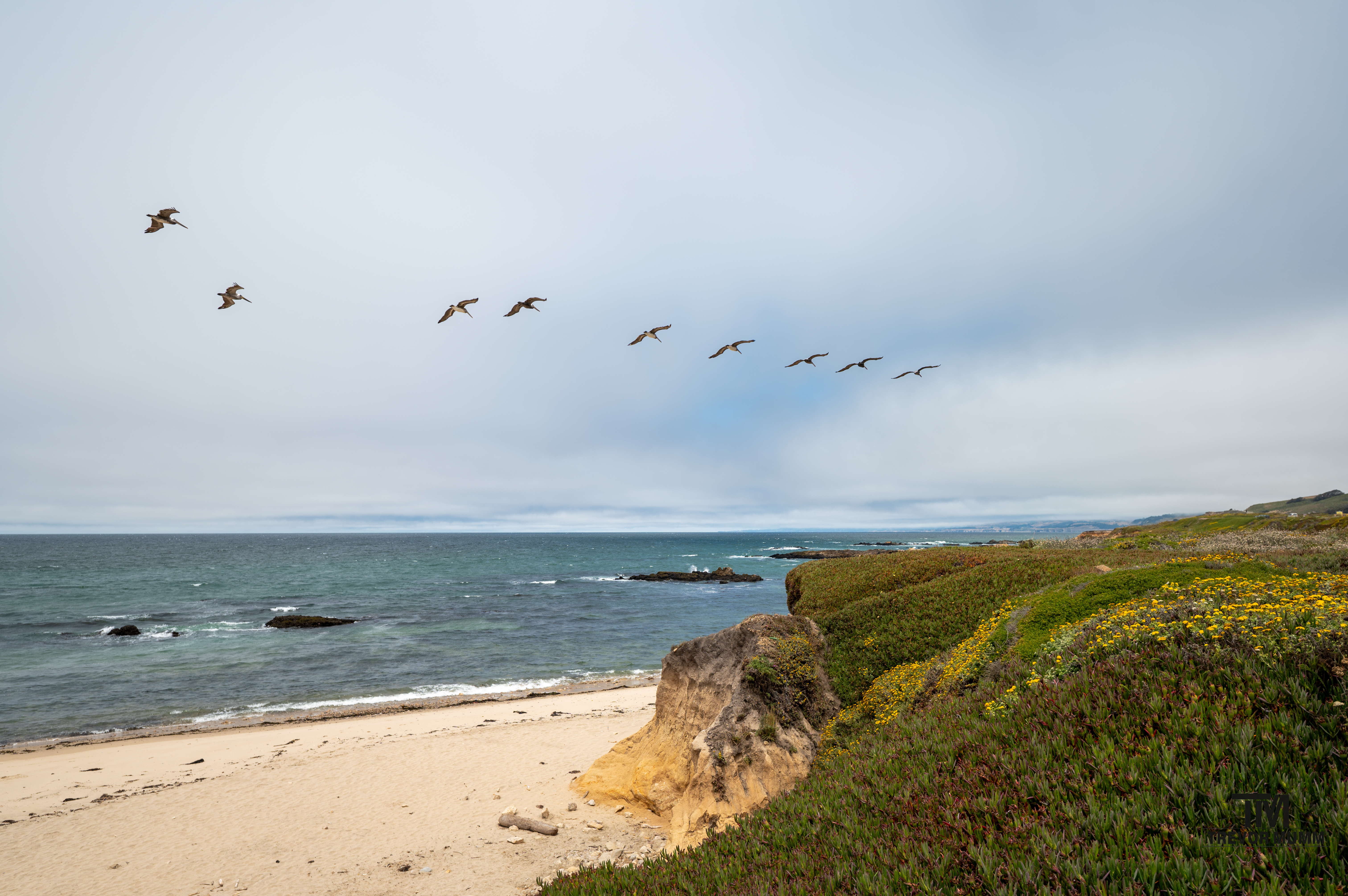 Cali Coast & Big Sur 2025