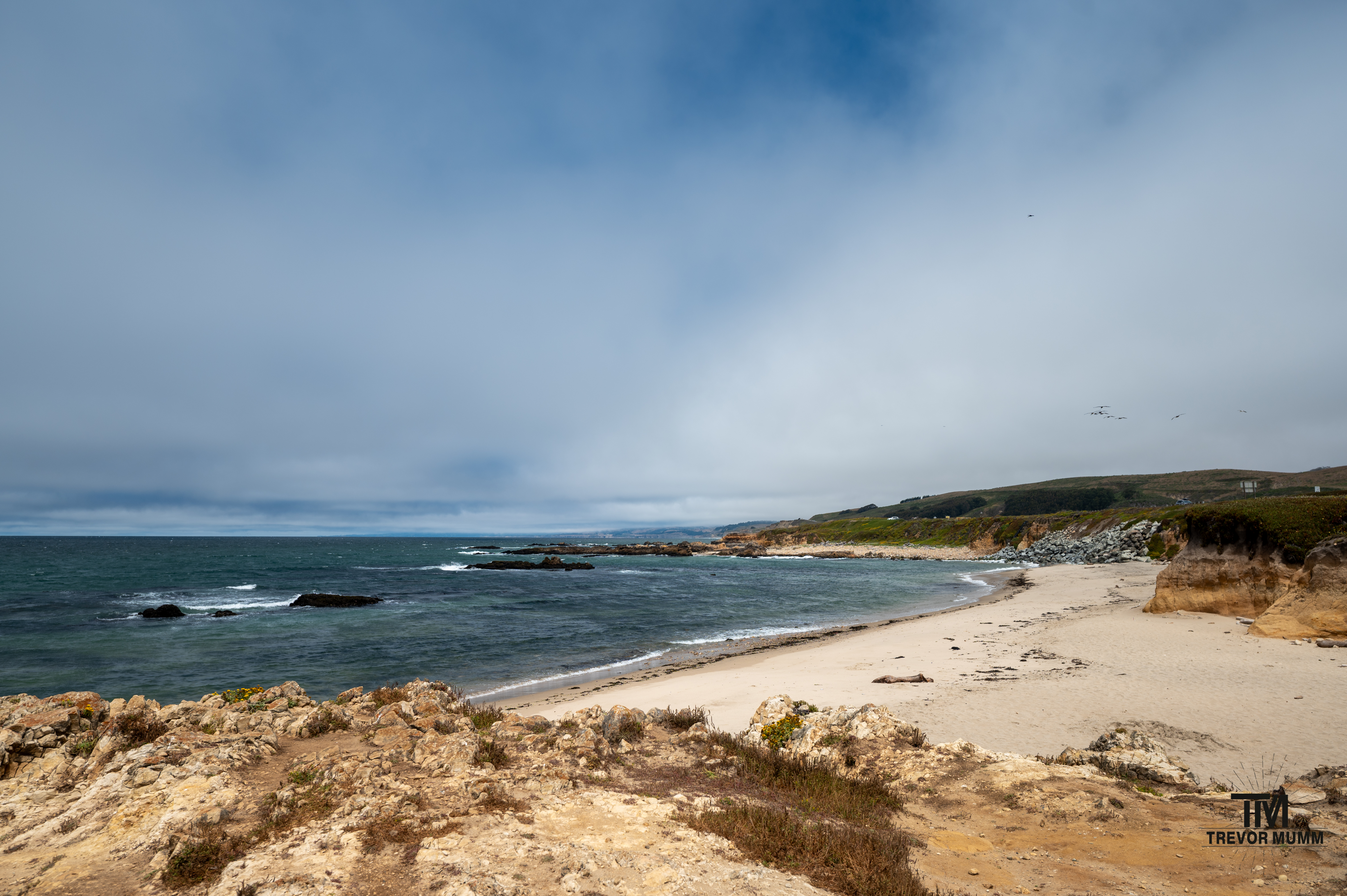 Cali Coast & Big Sur 2025