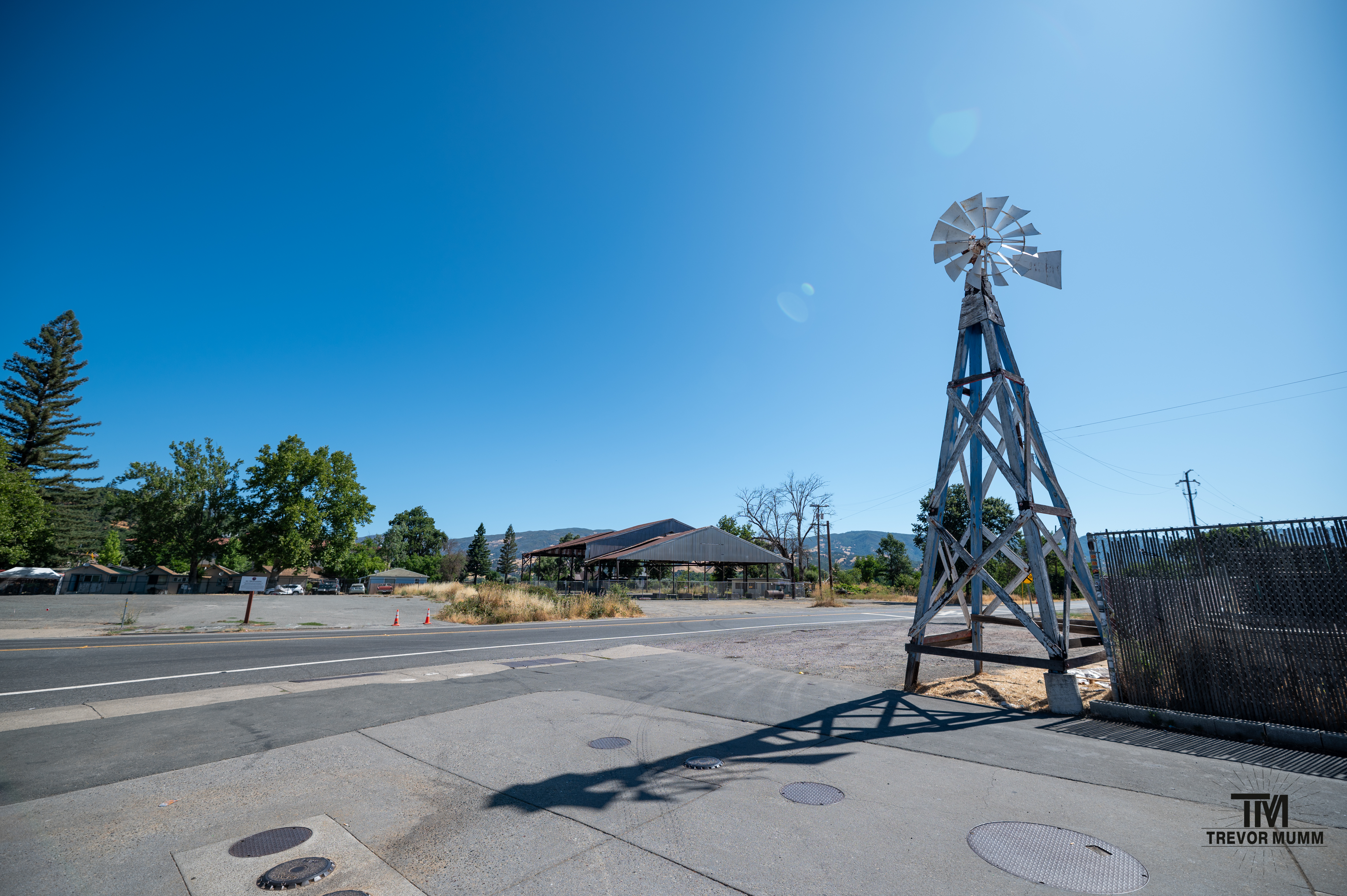 Red Wood National Park 2025