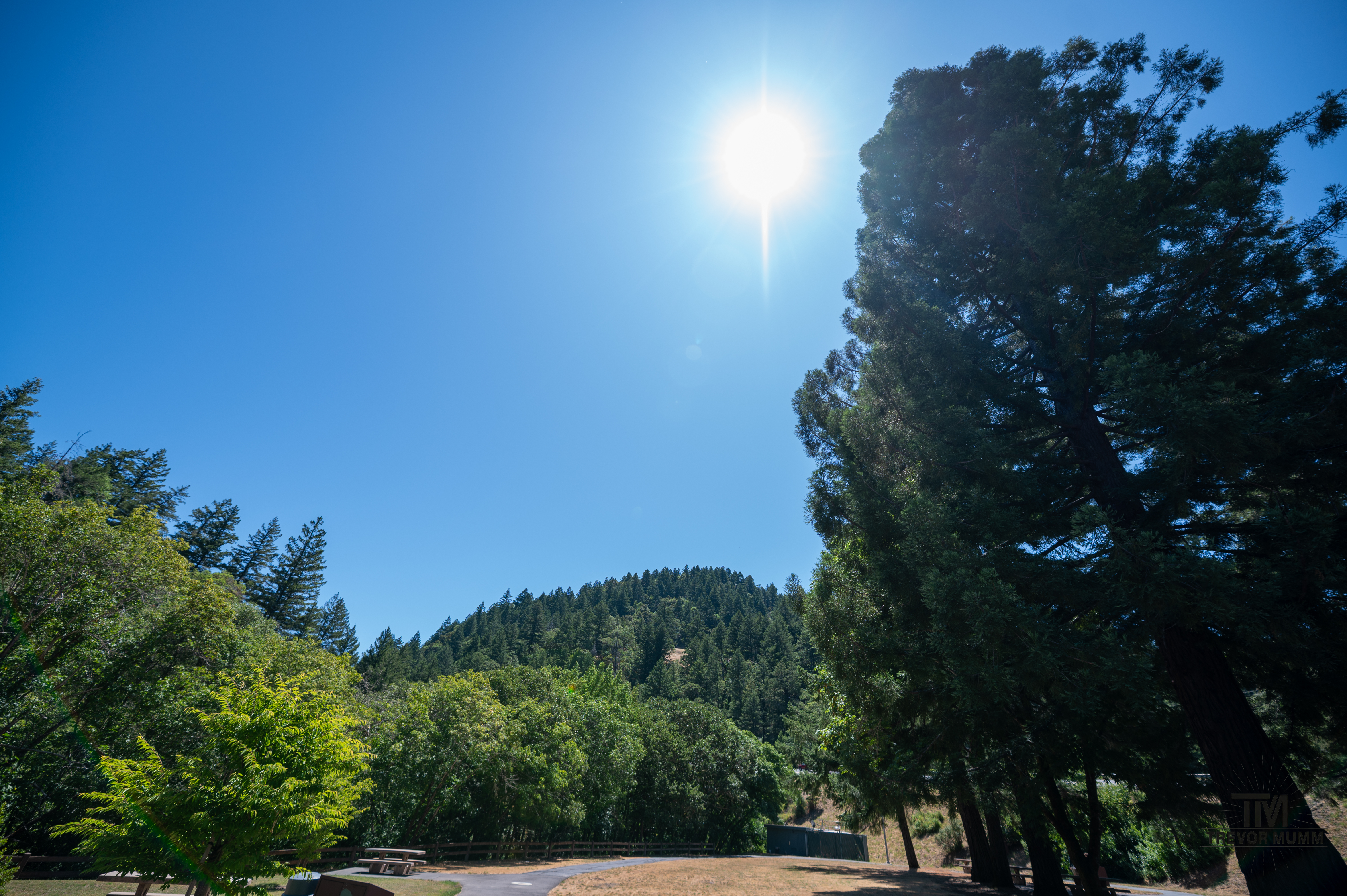 Red Wood National Park 2025