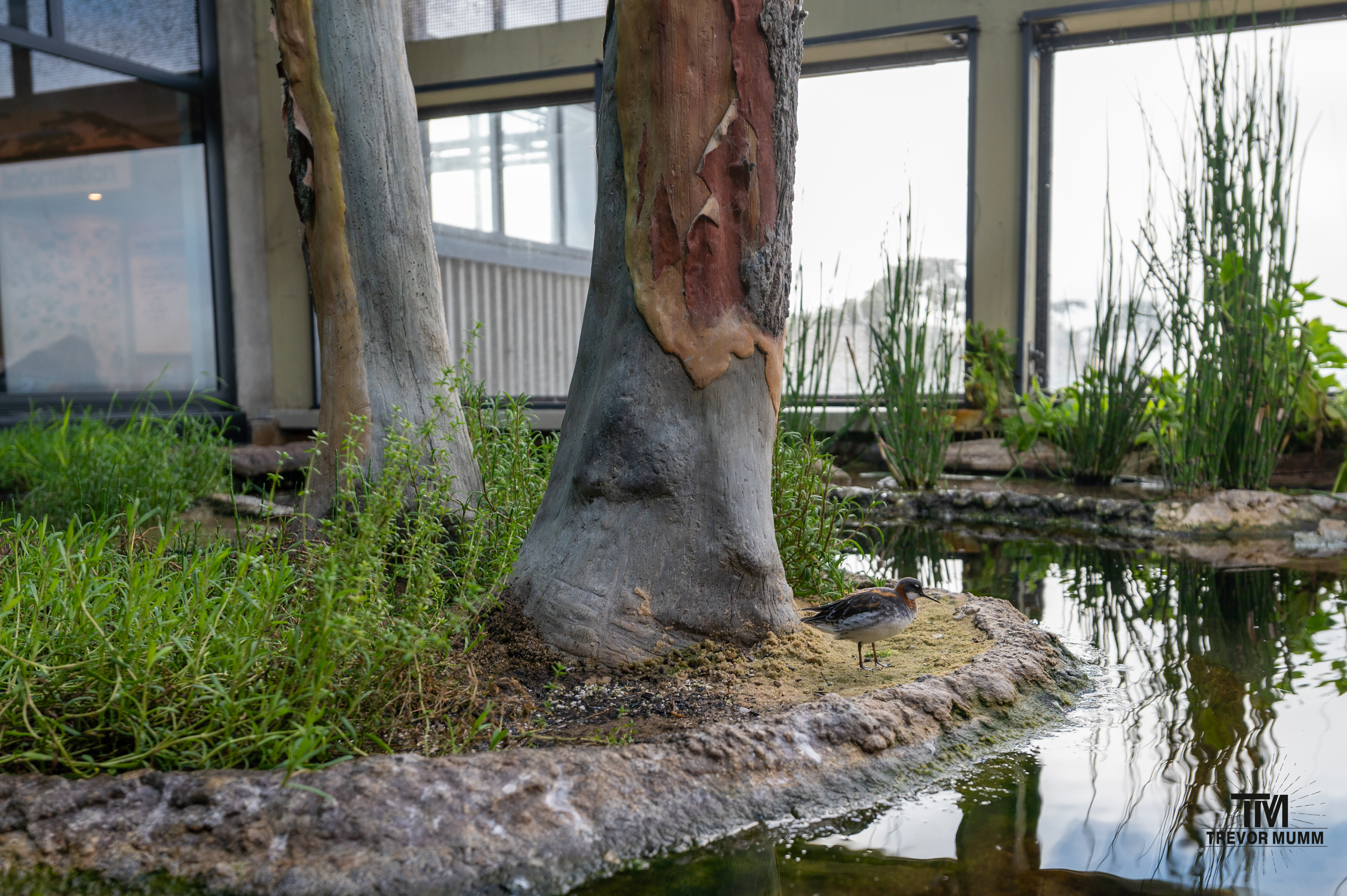 Monteray Bay Aquarium, 2025