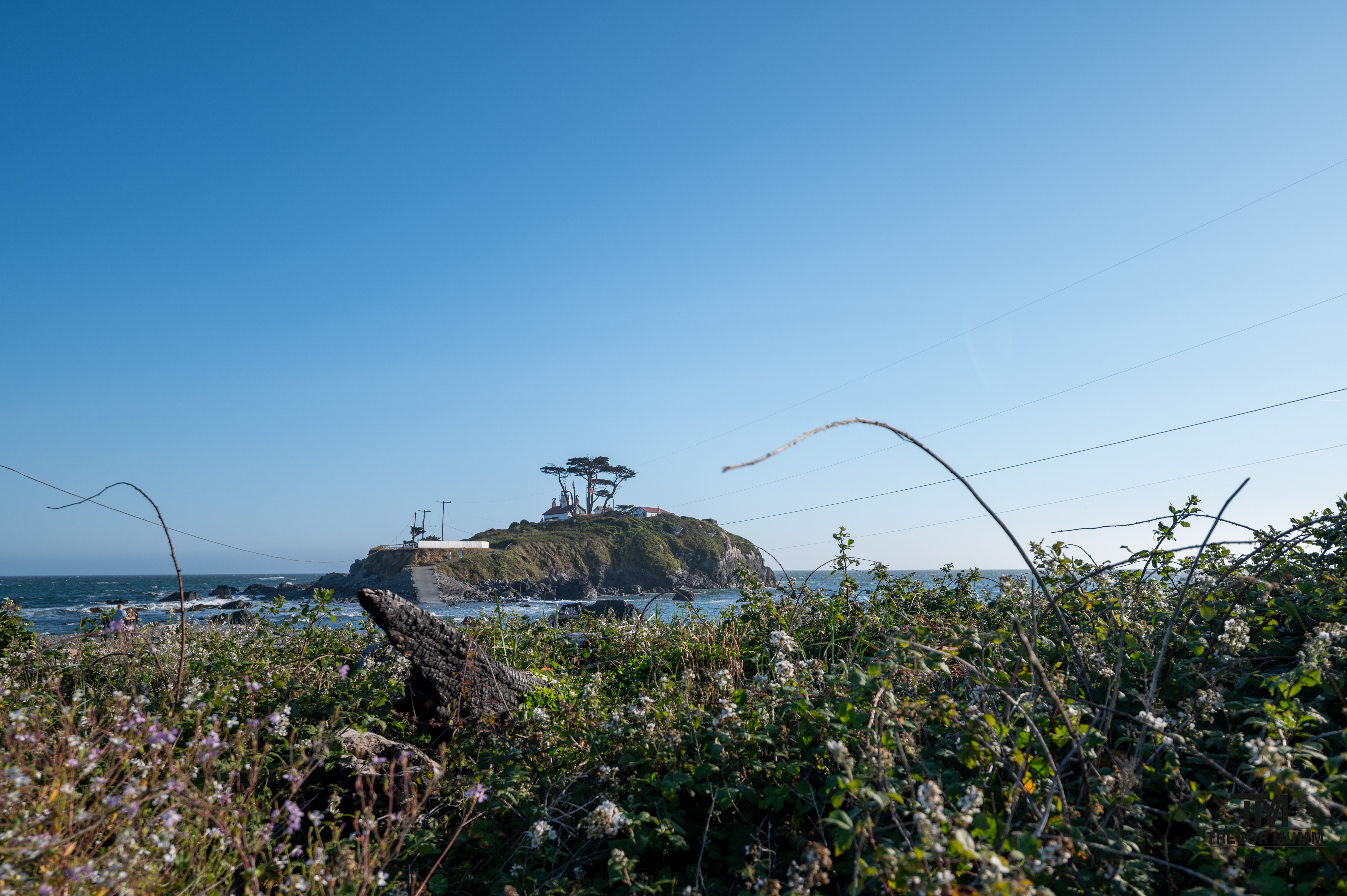 Red Wood National Park 2025