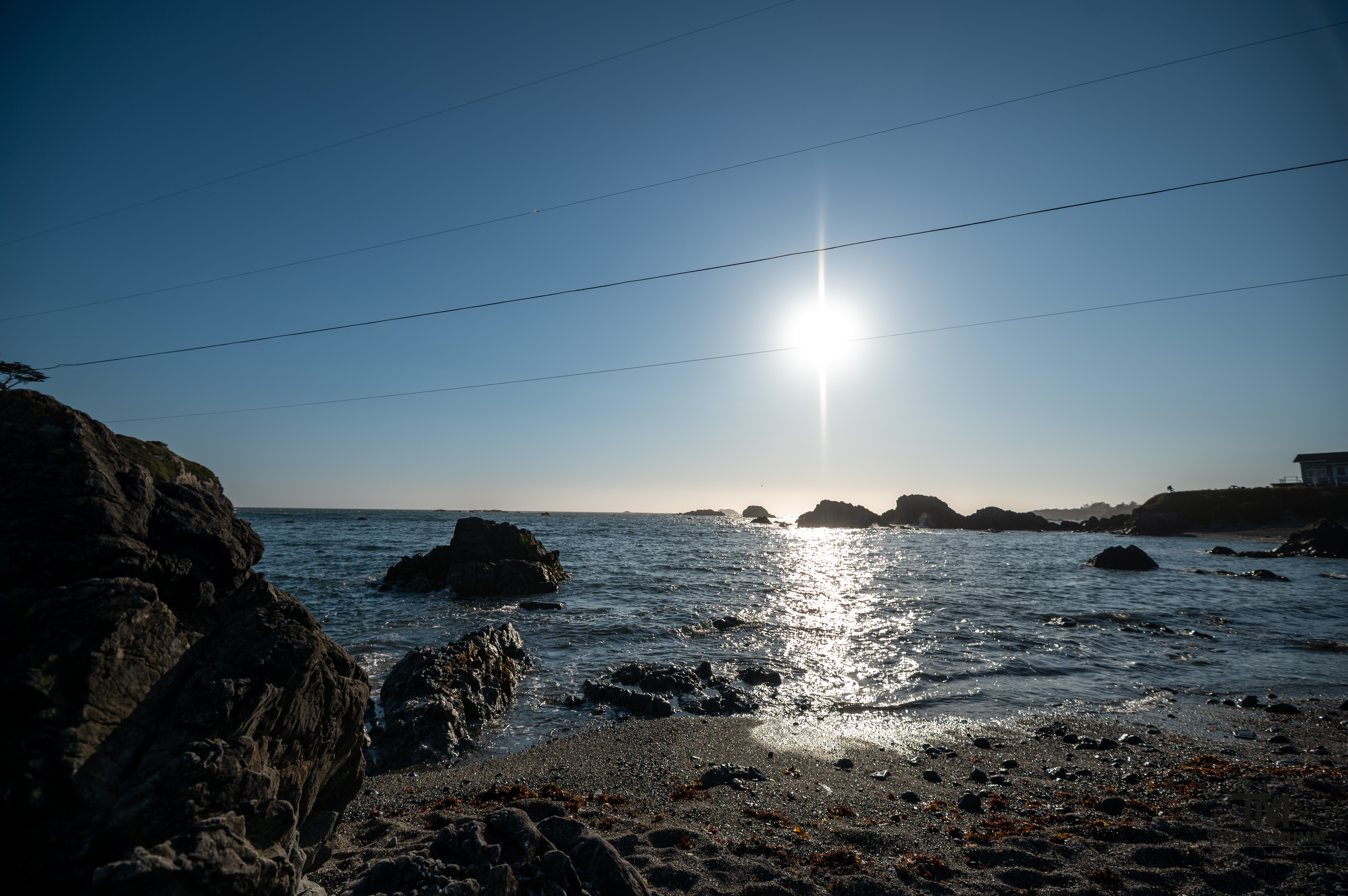 Red Wood National Park 2025