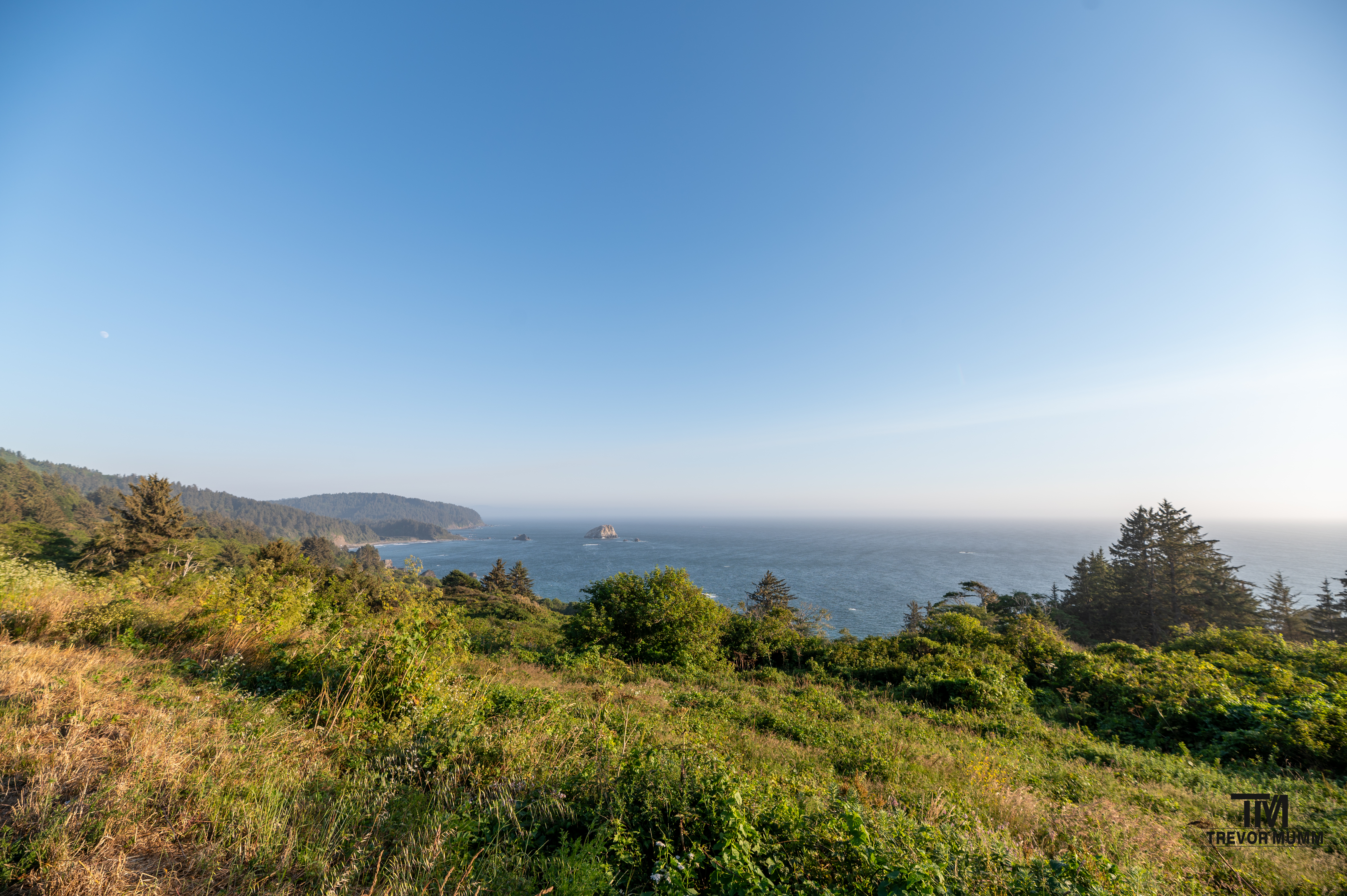 Red Wood National Park 2025