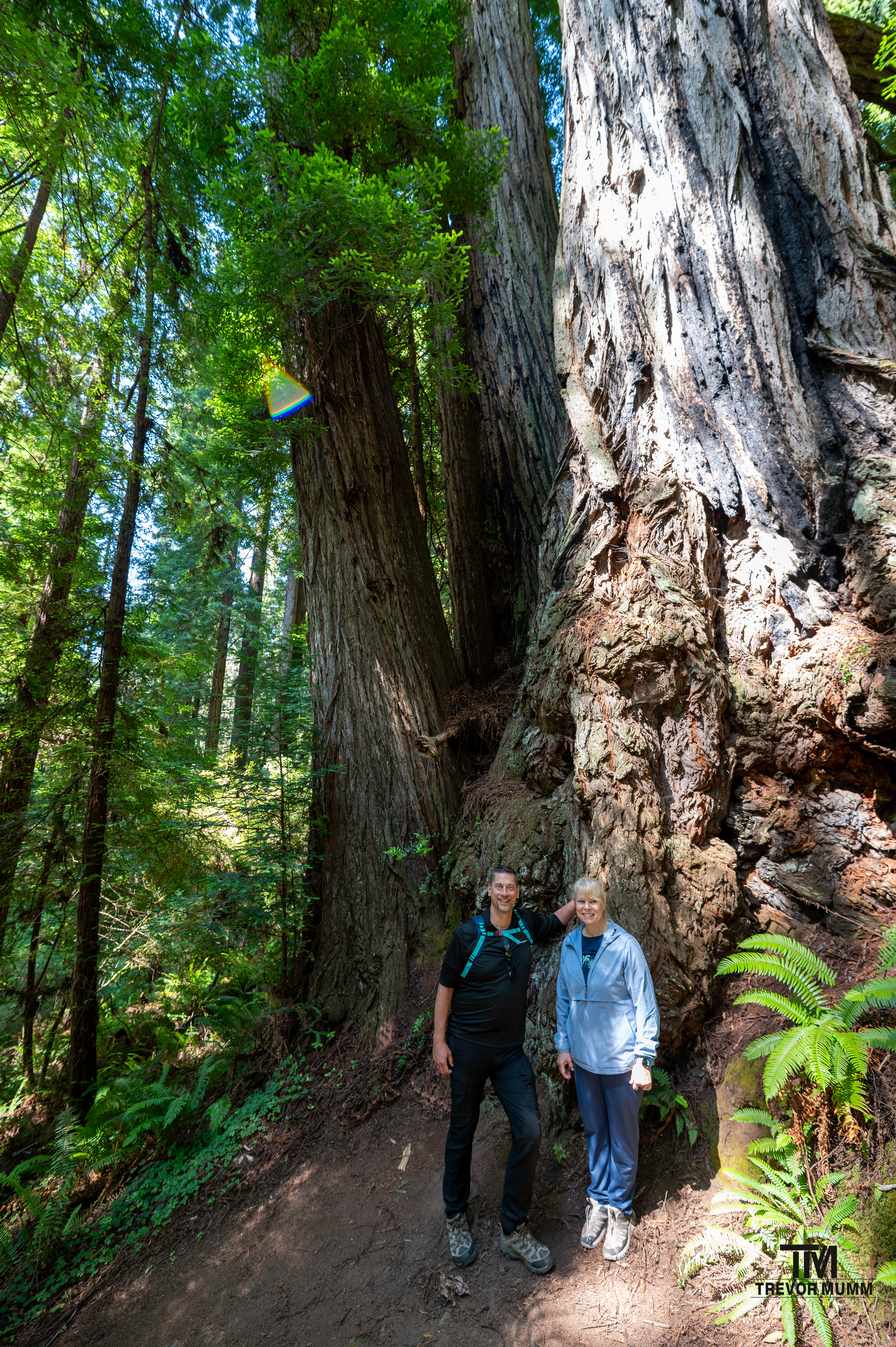 Red Wood National Park 2025