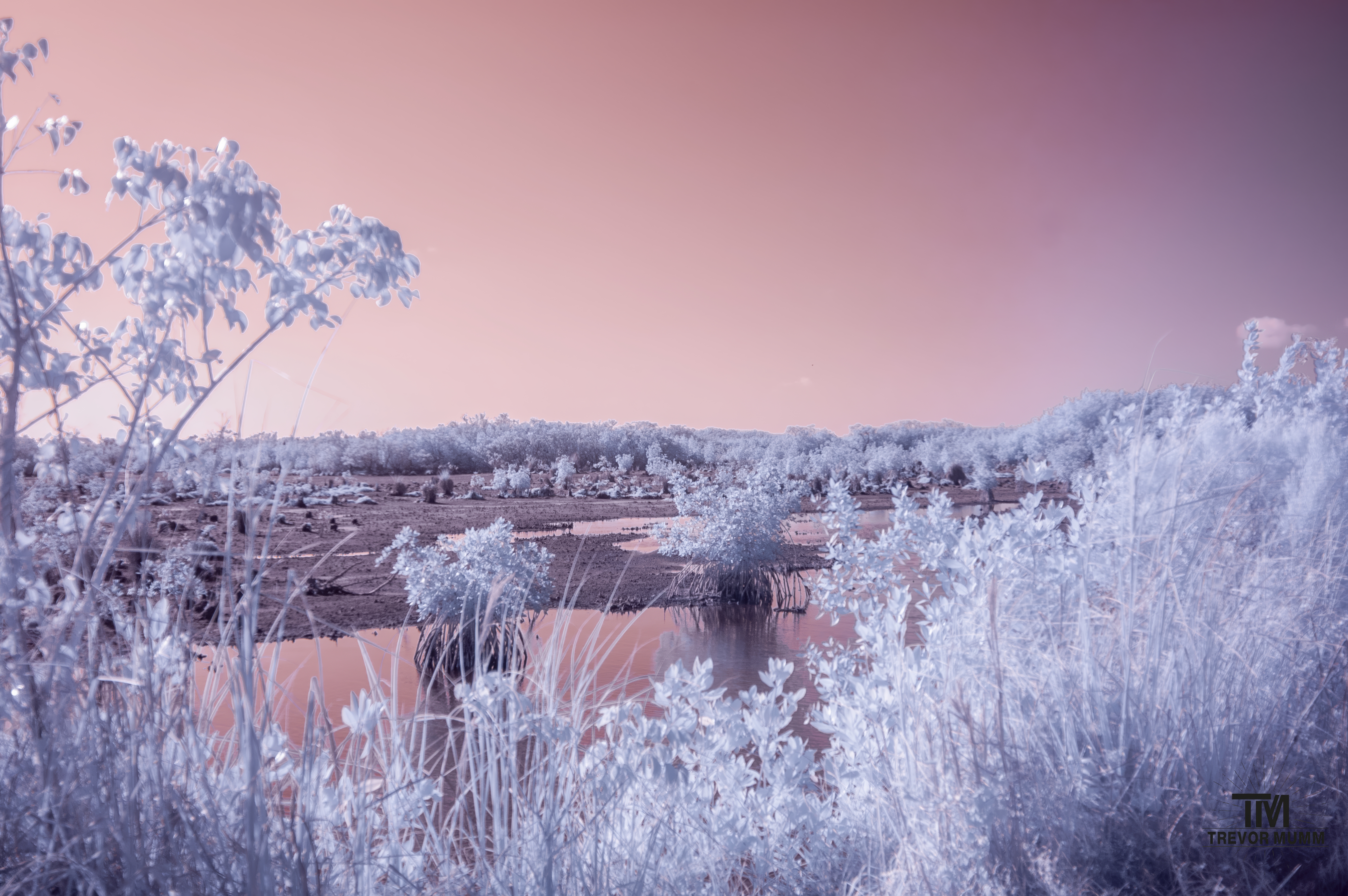 Infrared 6 | Everglades 2025