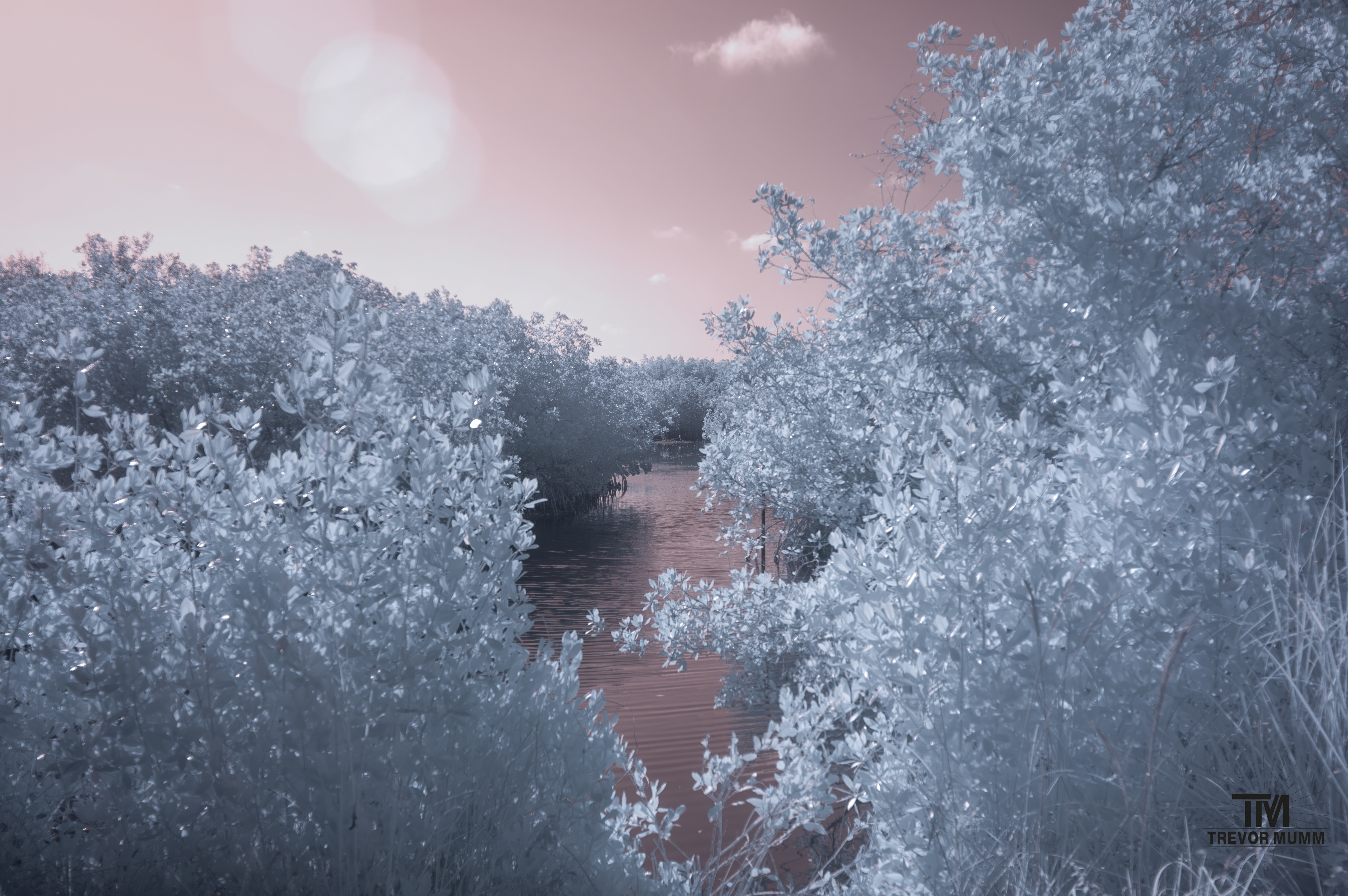 Infrared 8 | Everglades 2025