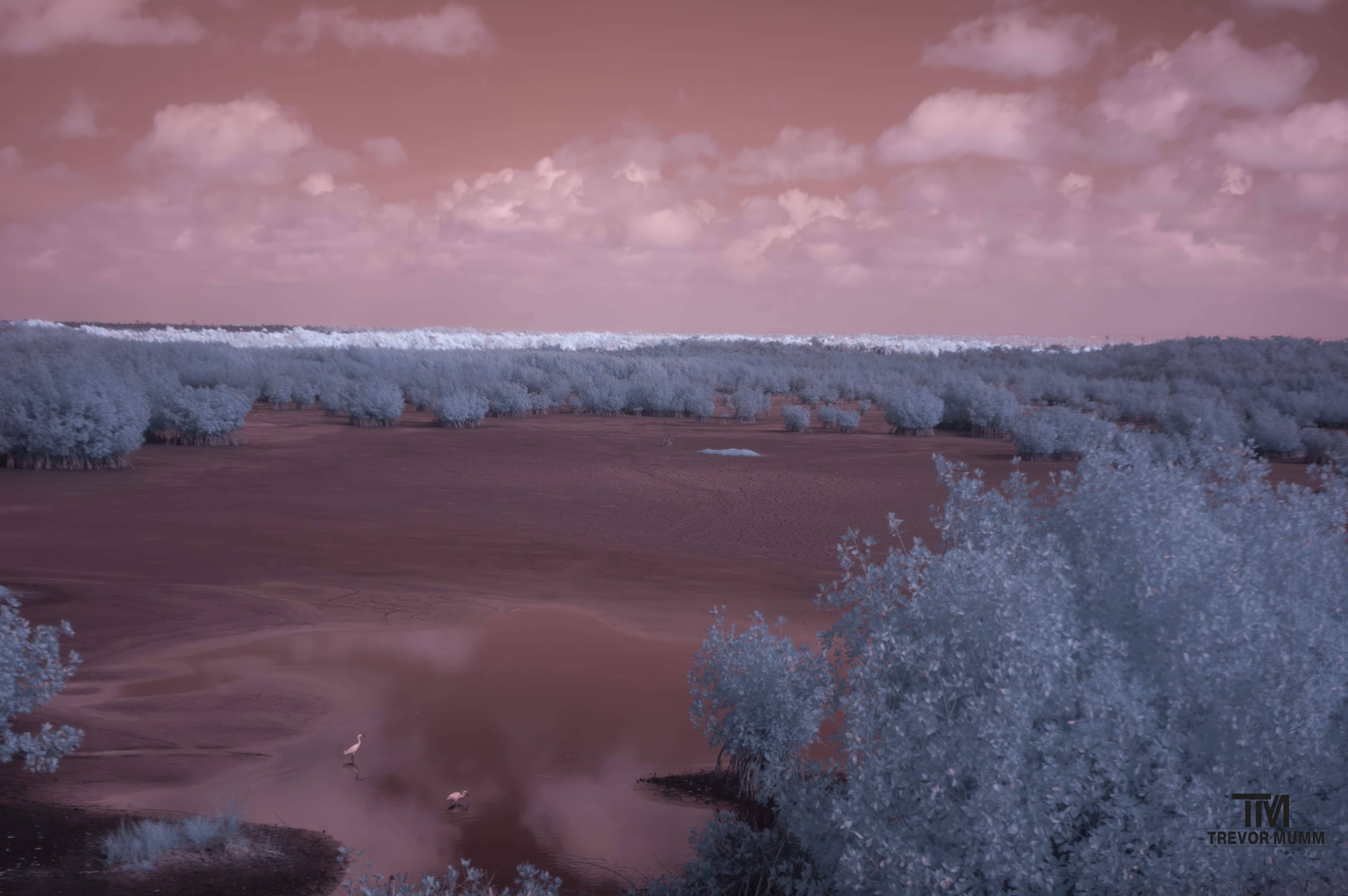 Infrared 9 | Everglades 2025