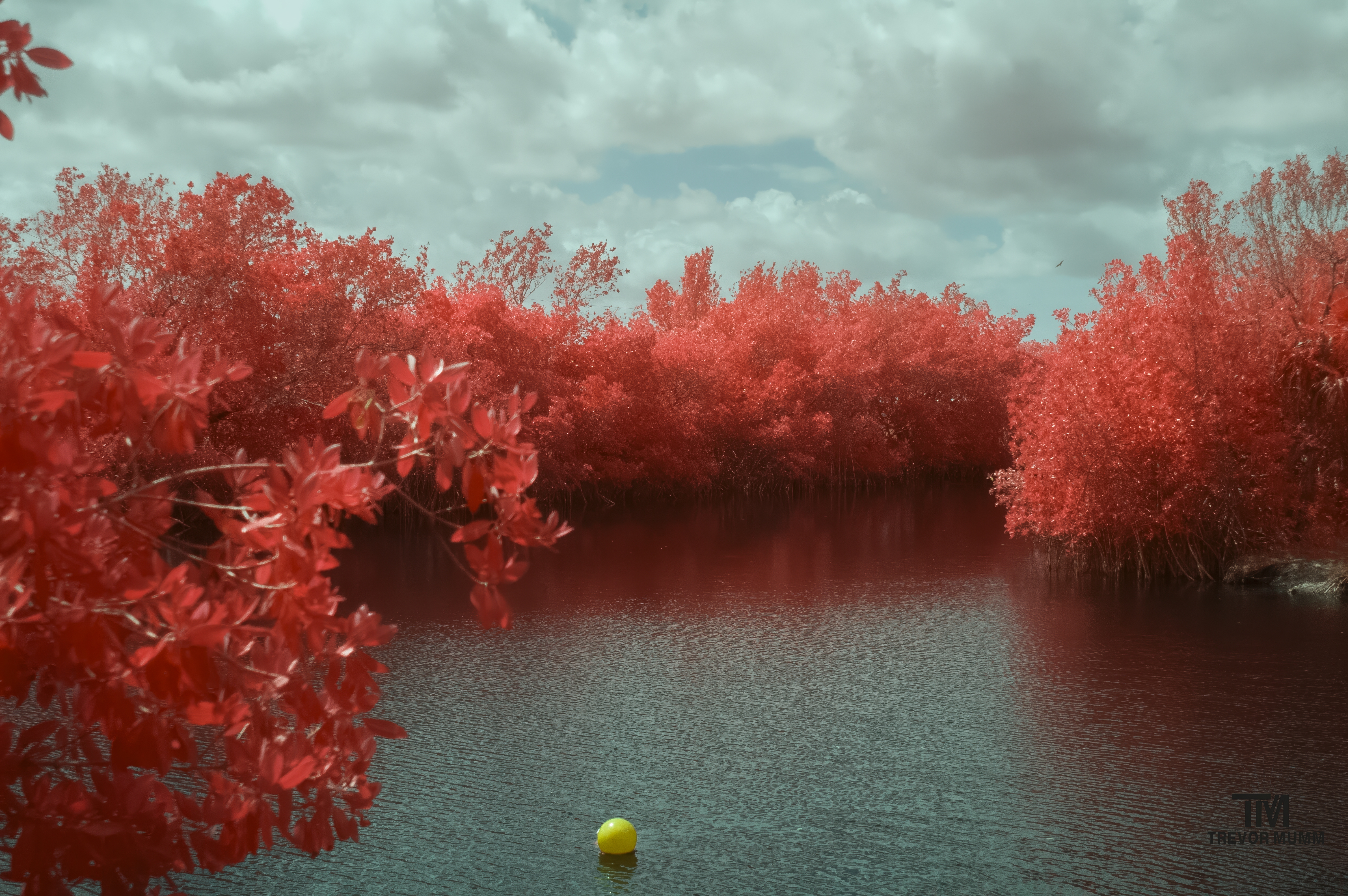 Infrared 2 | Everglades 2025