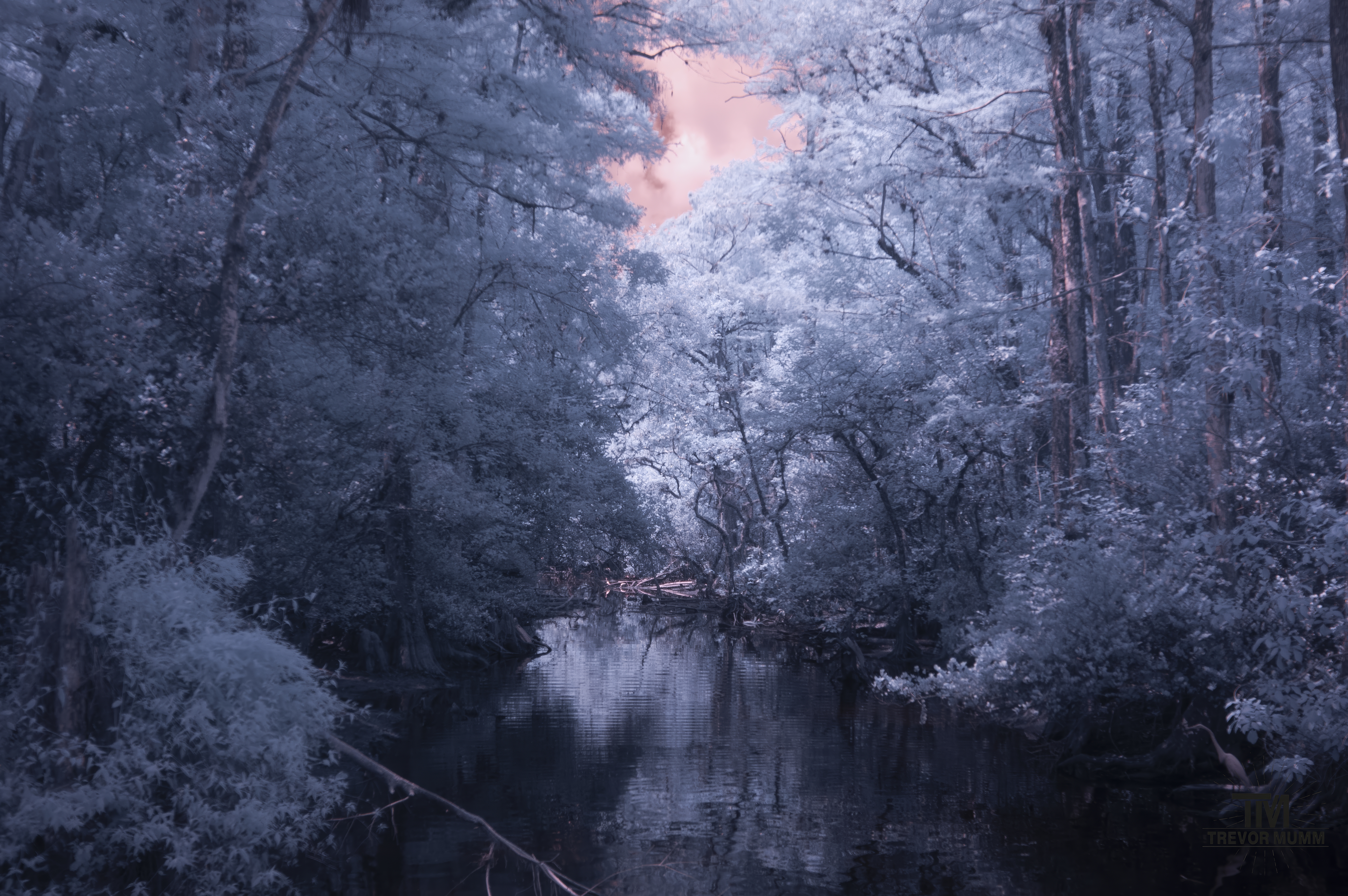 Infrared 18 | Everglades 2025