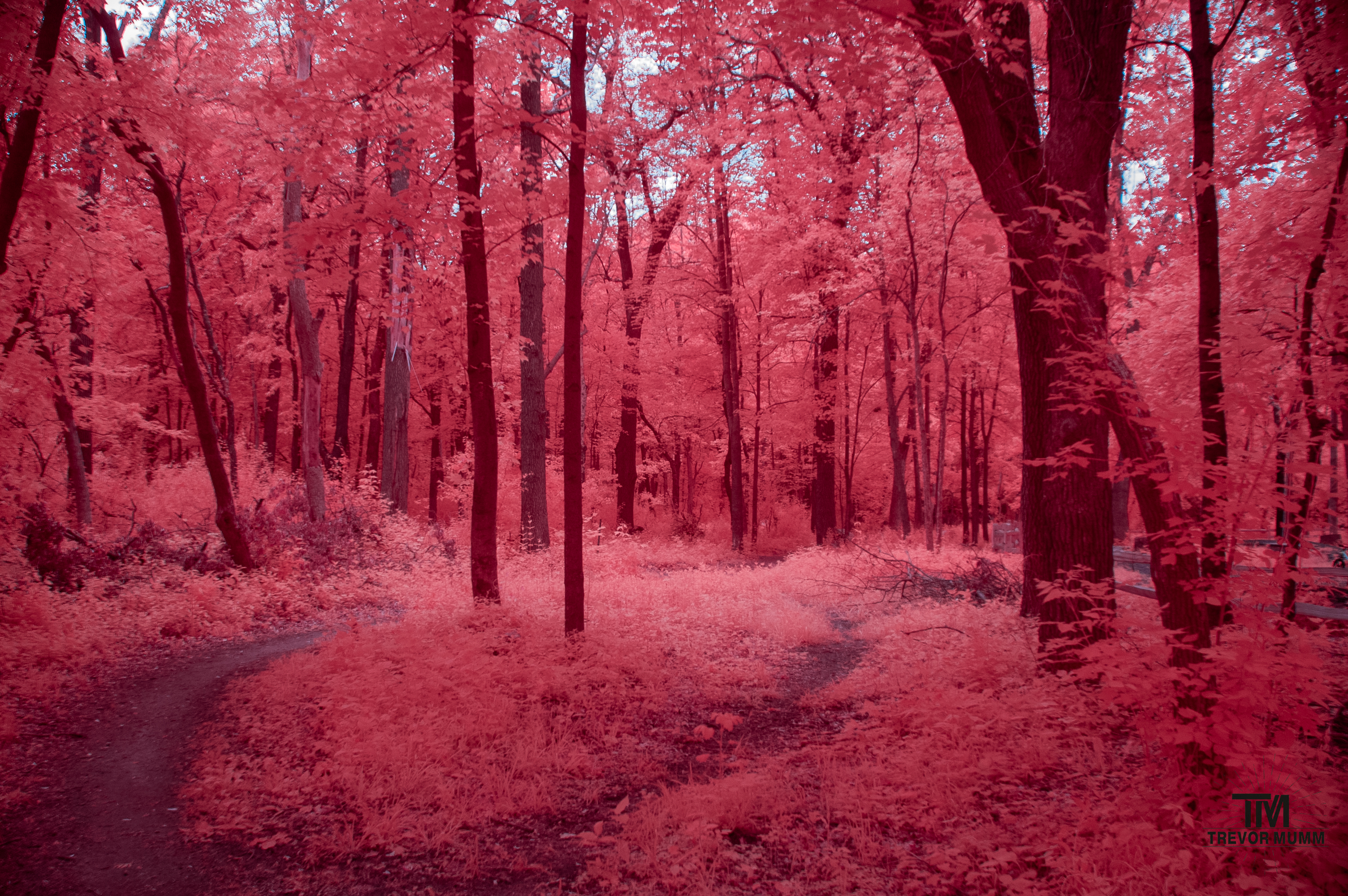 Lowes Creek | Eau Claire, WI