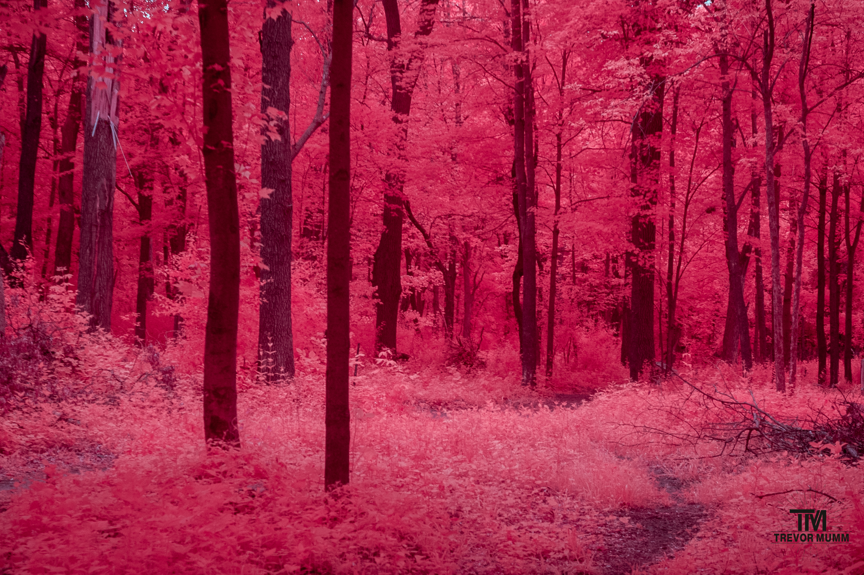 Lowes Creek | Eau Claire, WI