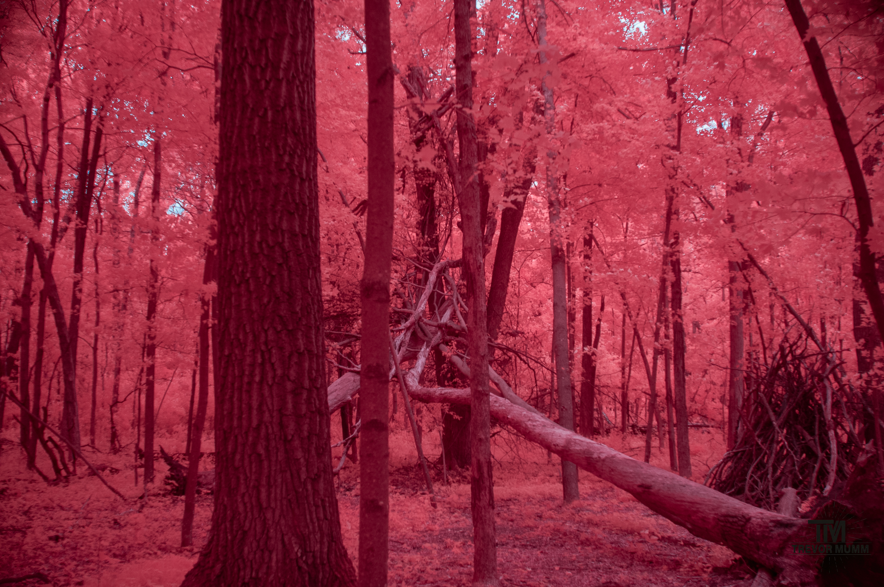 Lowes Creek | Eau Claire, WI