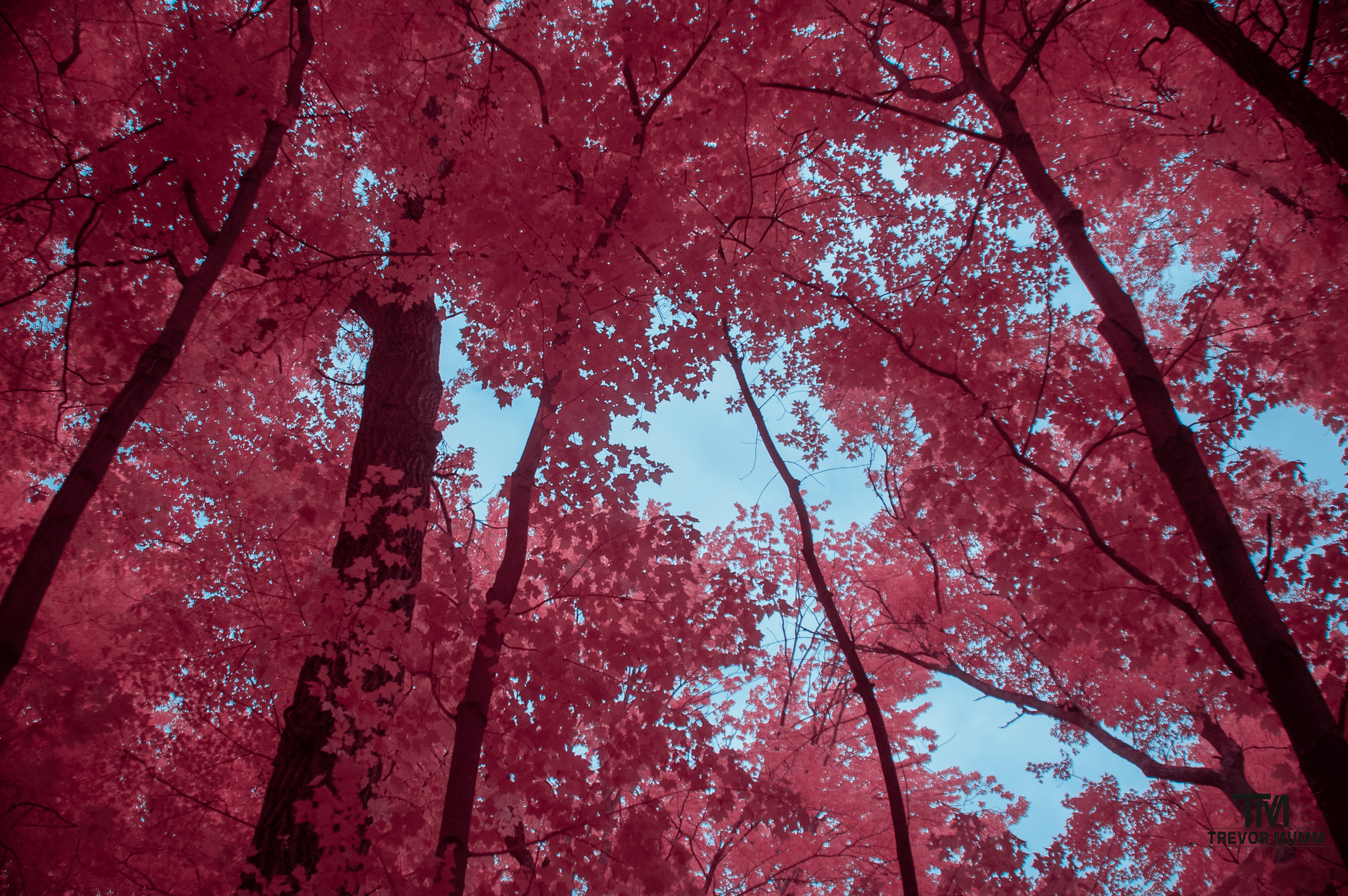 Lowes Creek | Eau Claire, WI