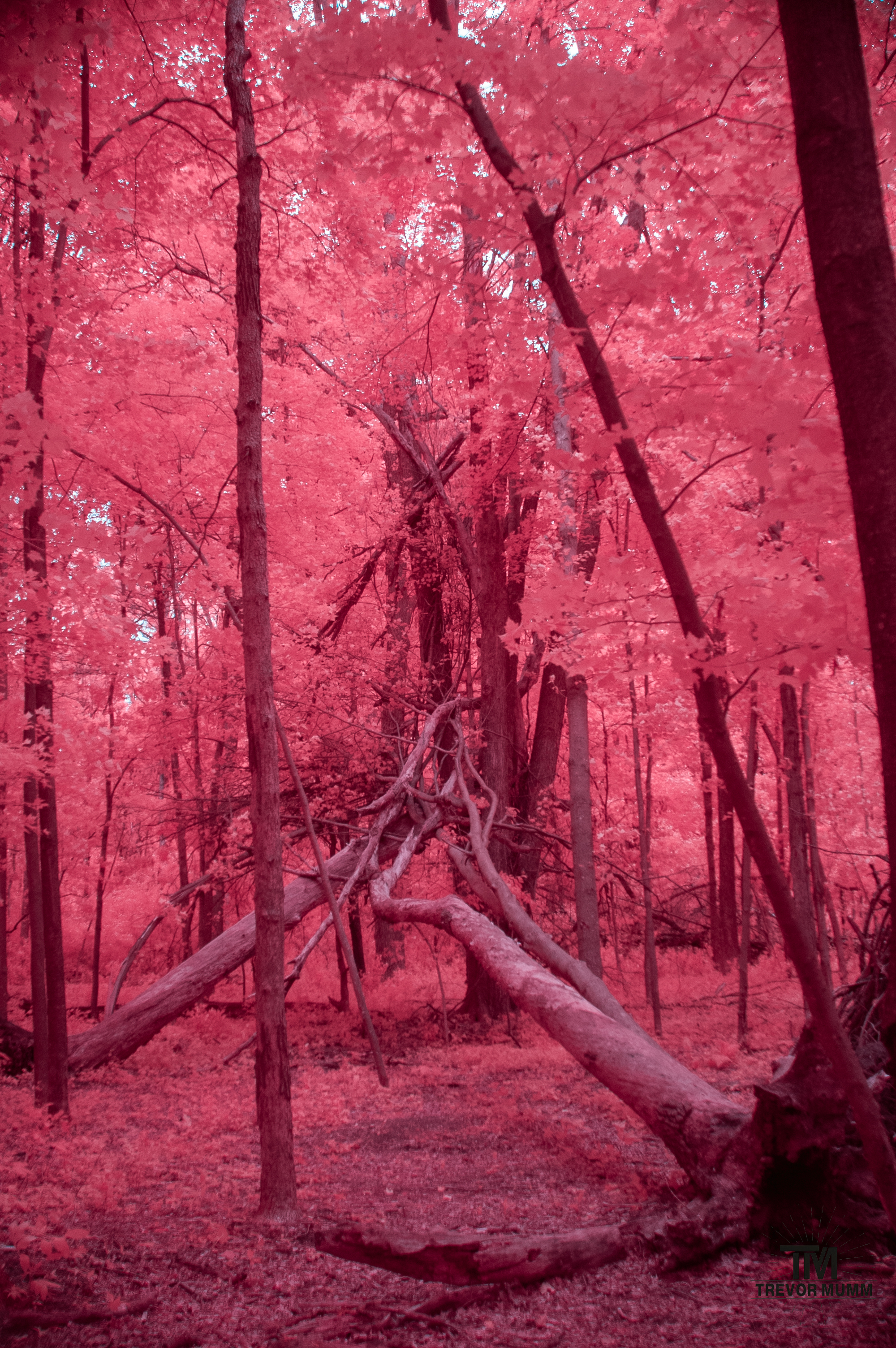 Lowes Creek | Eau Claire, WI