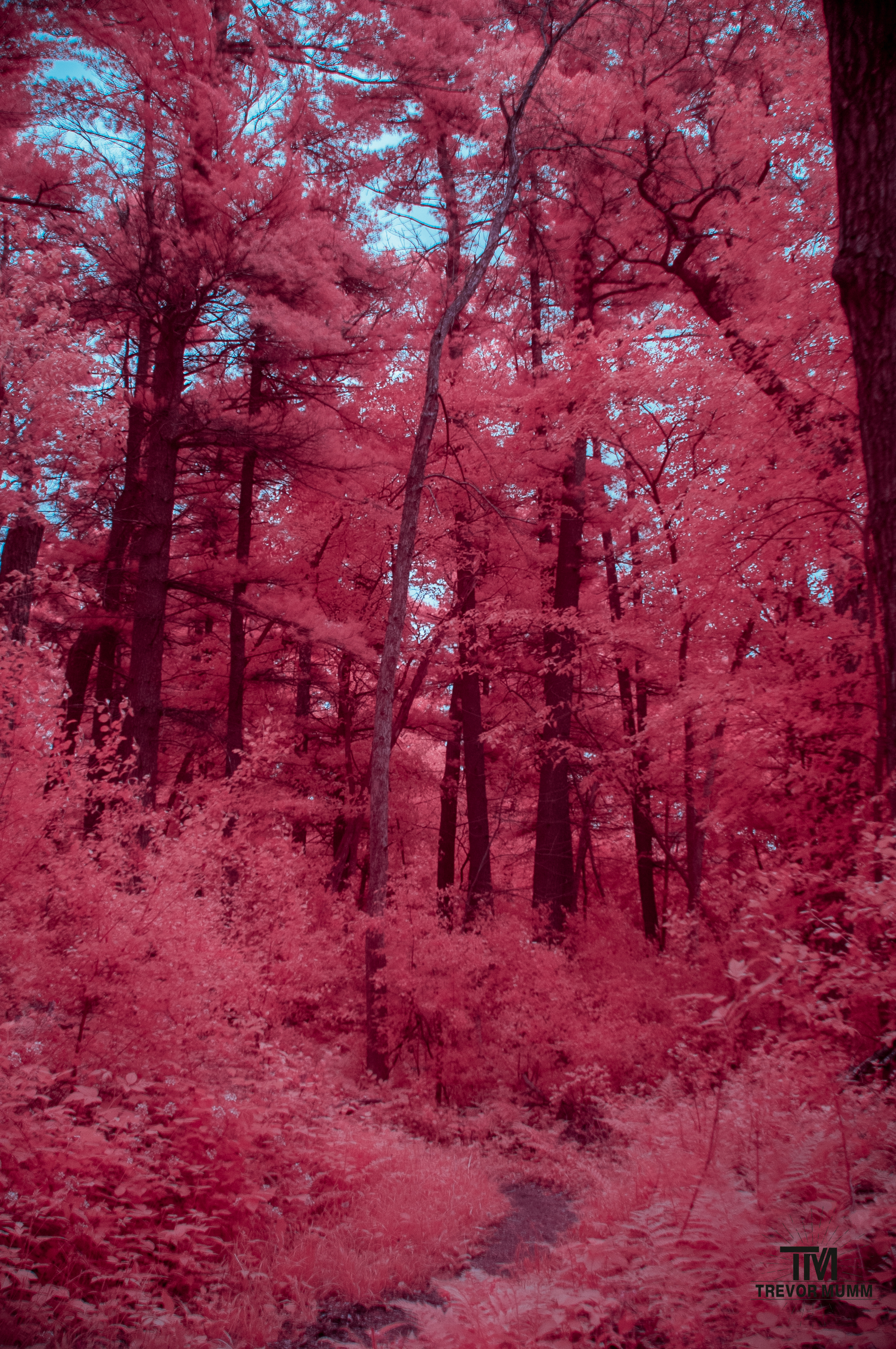 Lowes Creek | Eau Claire, WI