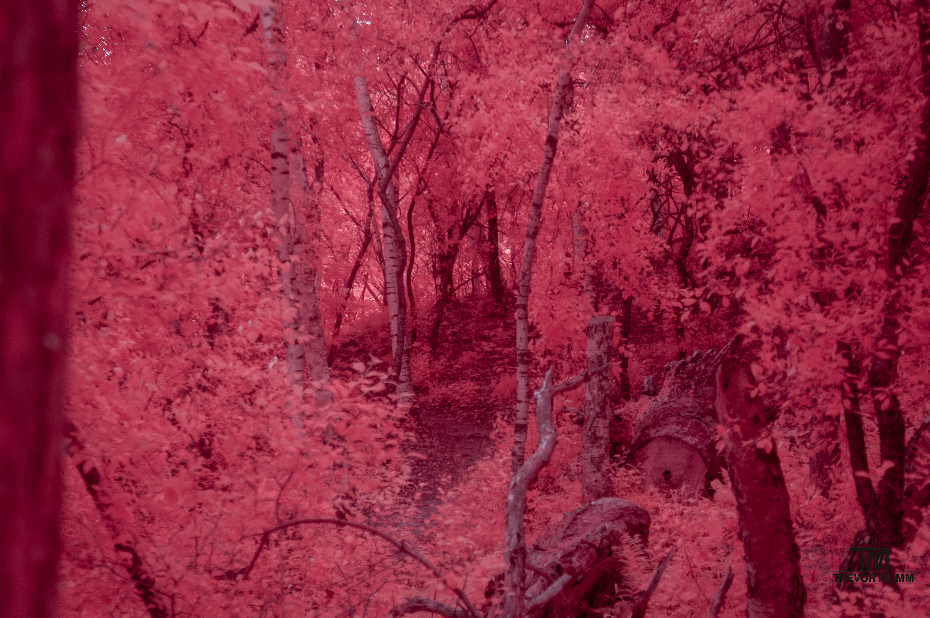 Lowes Creek | Eau Claire, WI