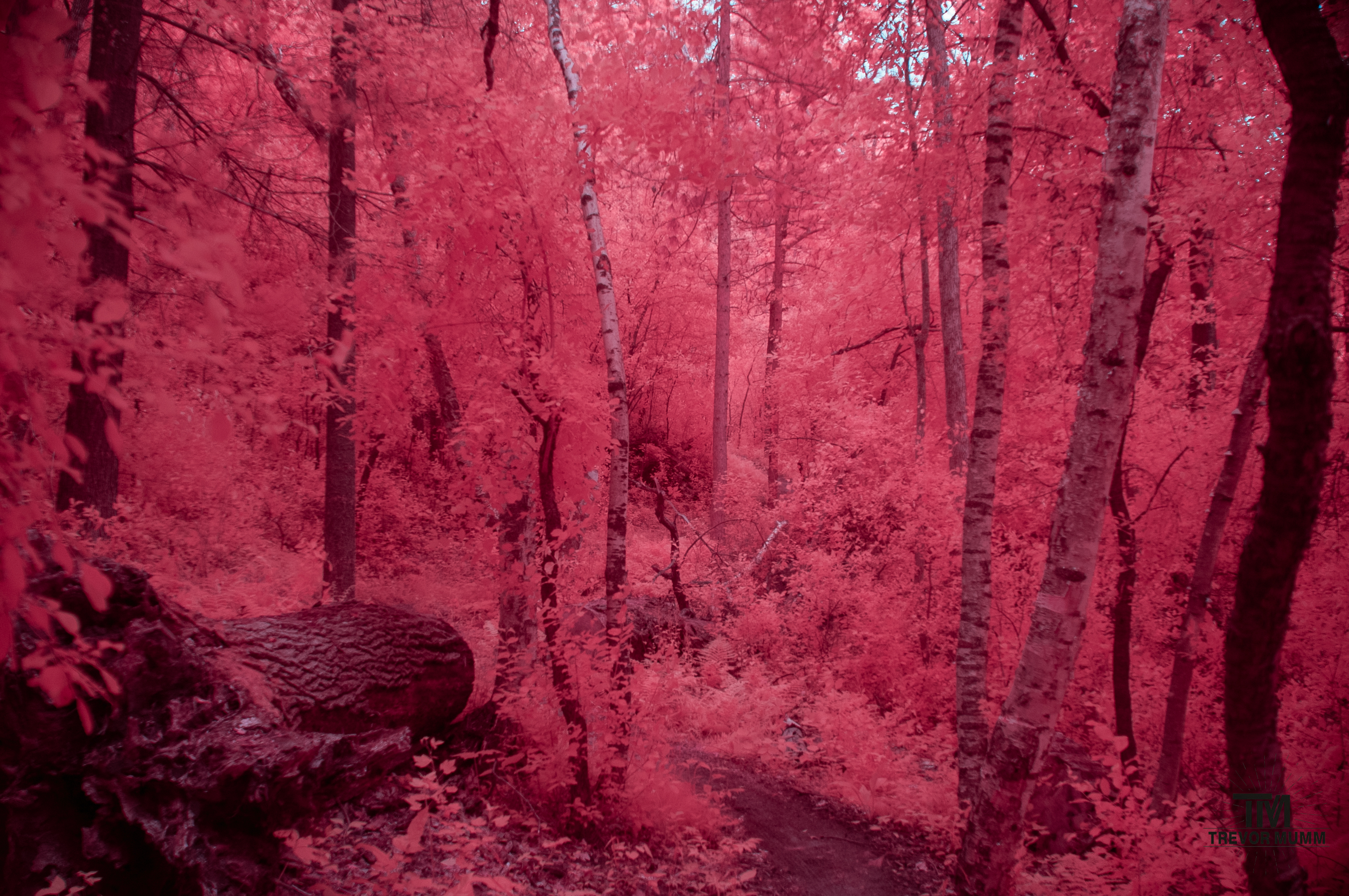 Lowes Creek | Eau Claire, WI