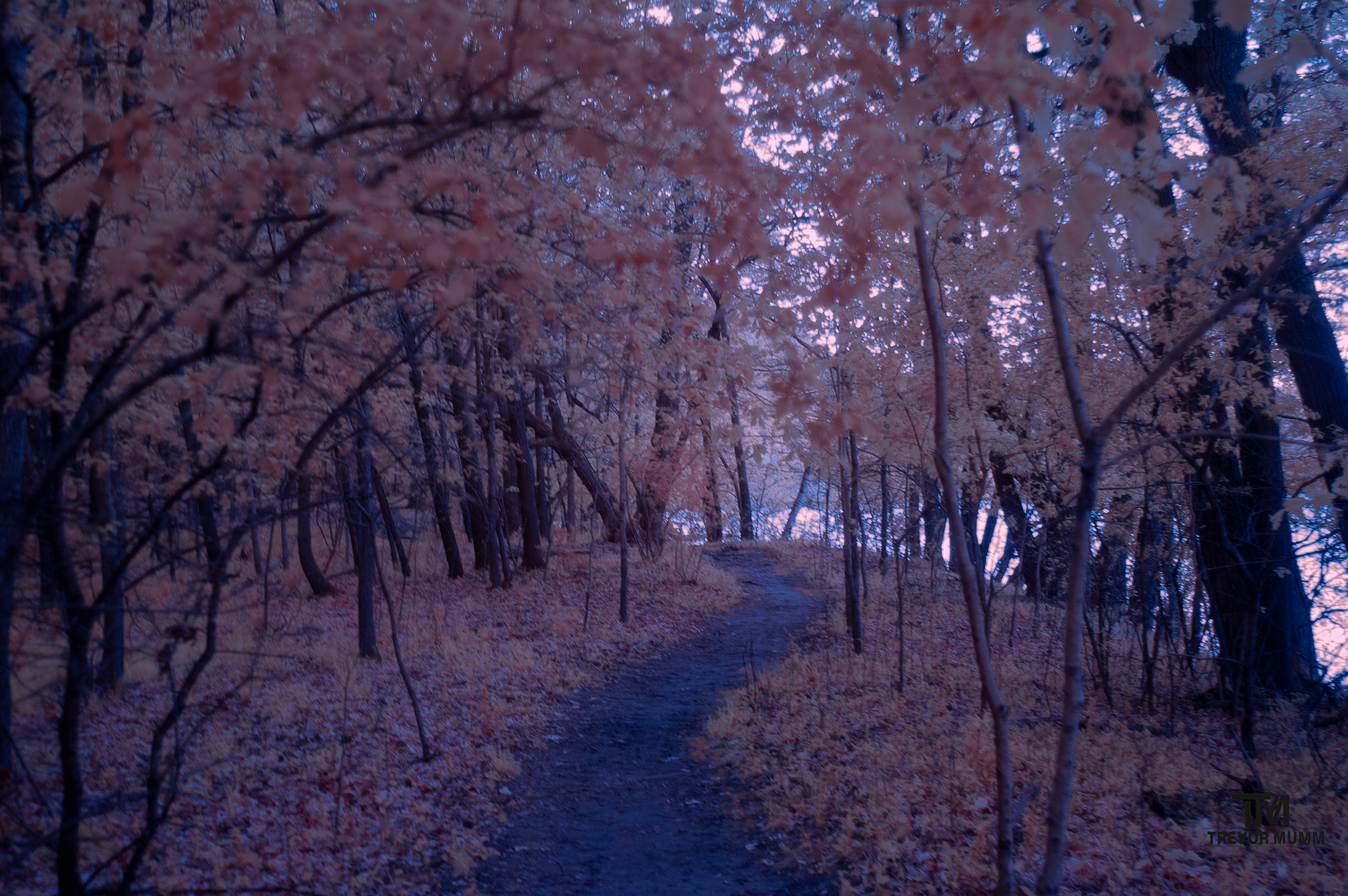 Mount Simon | Eau Claire WI 5/13/25