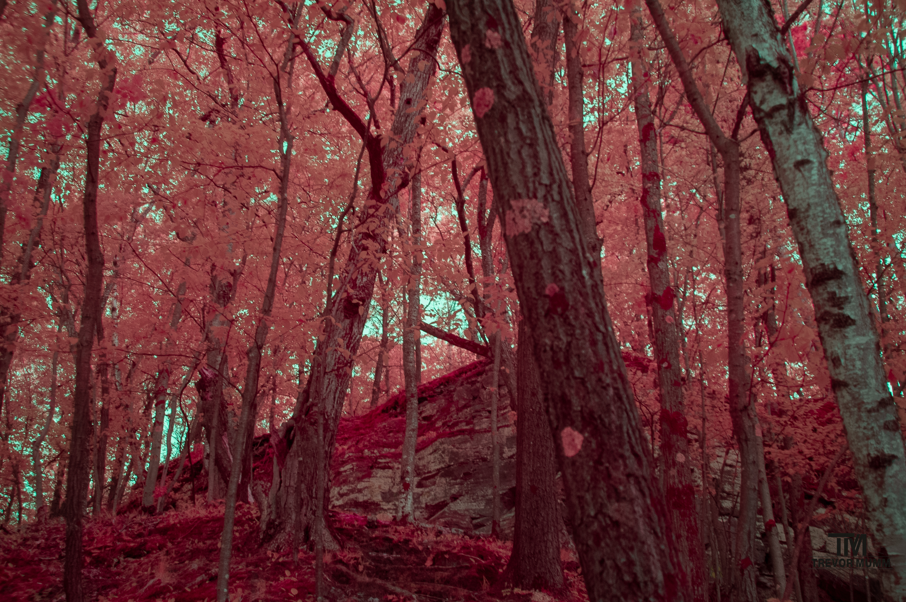 Mount Simon | Eau Claire WI 5/13/25