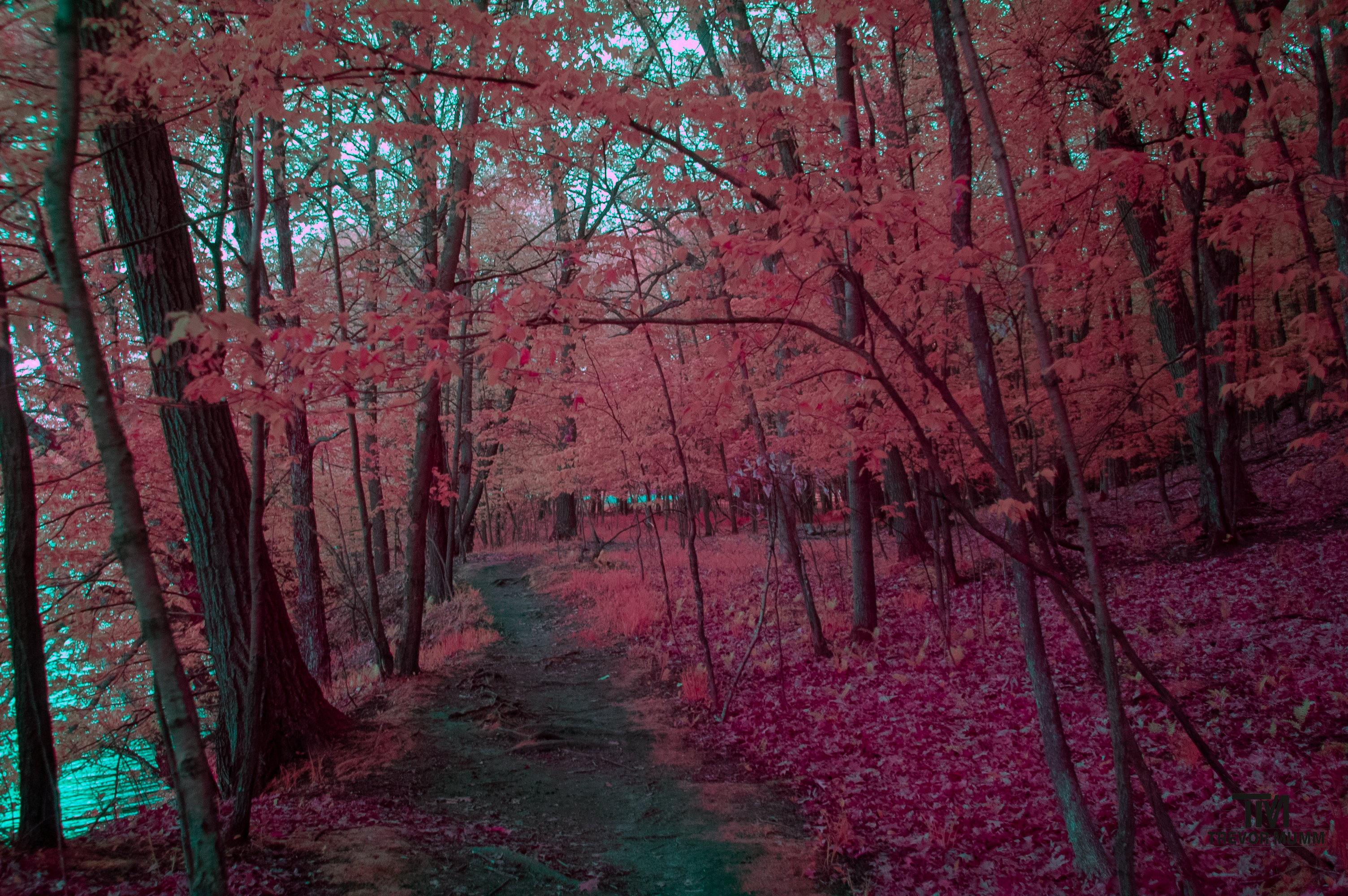 Mount Simon | Eau Claire WI 5/13/25