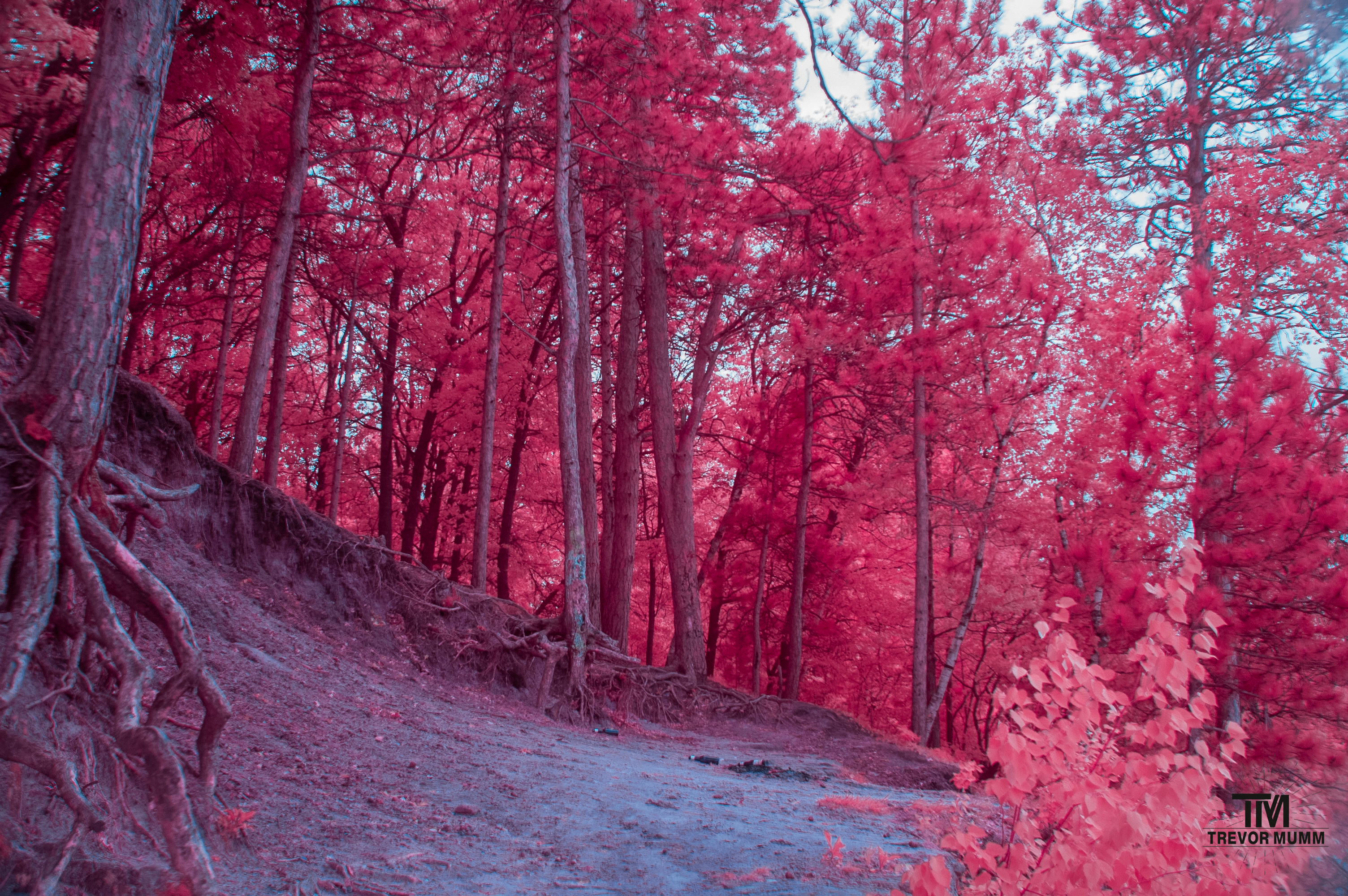 Mount Simon | Eau Claire WI 5/17/25