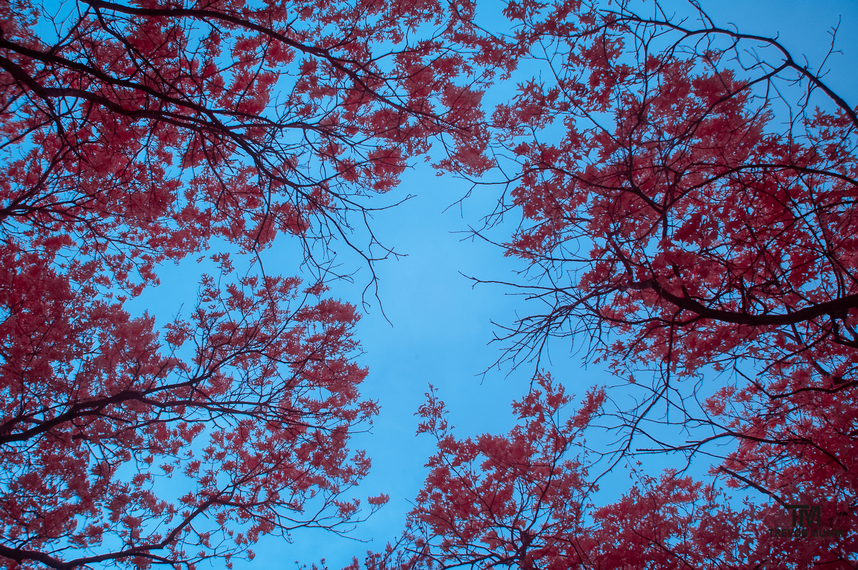 Mount Simon | Eau Claire WI 5/17/25