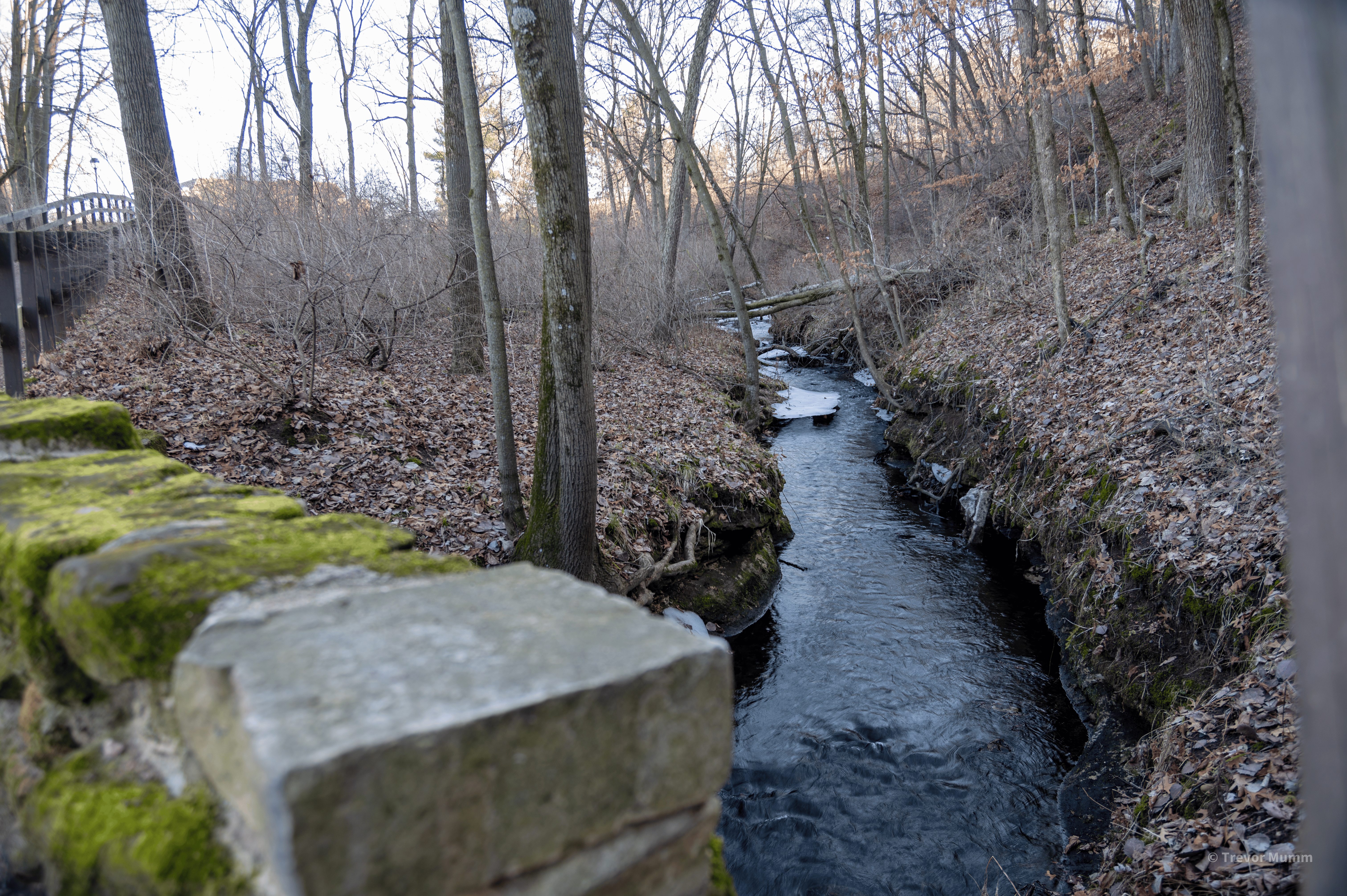 Creek | Putnam Loop