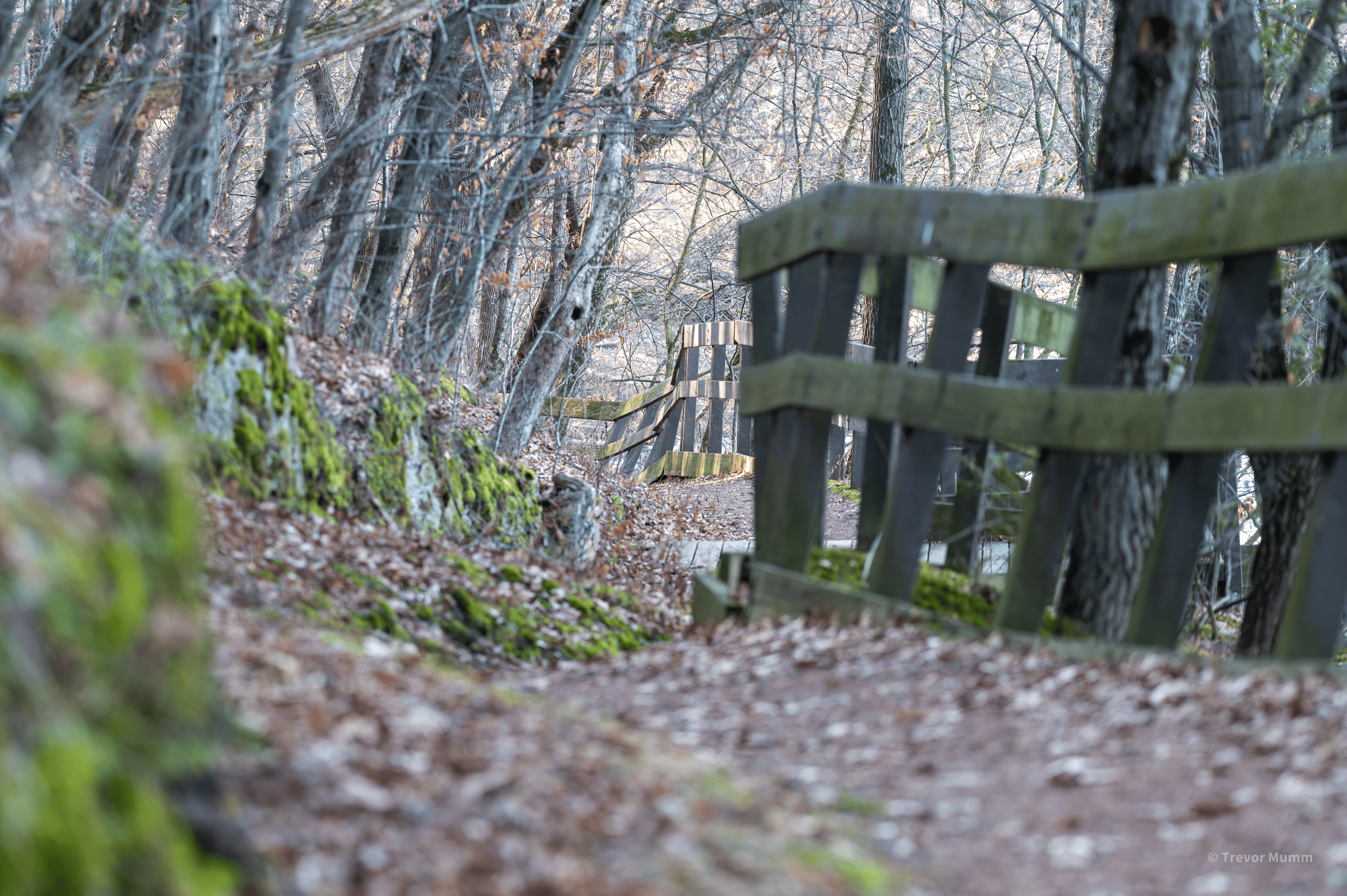 Railing | Putnam Loop