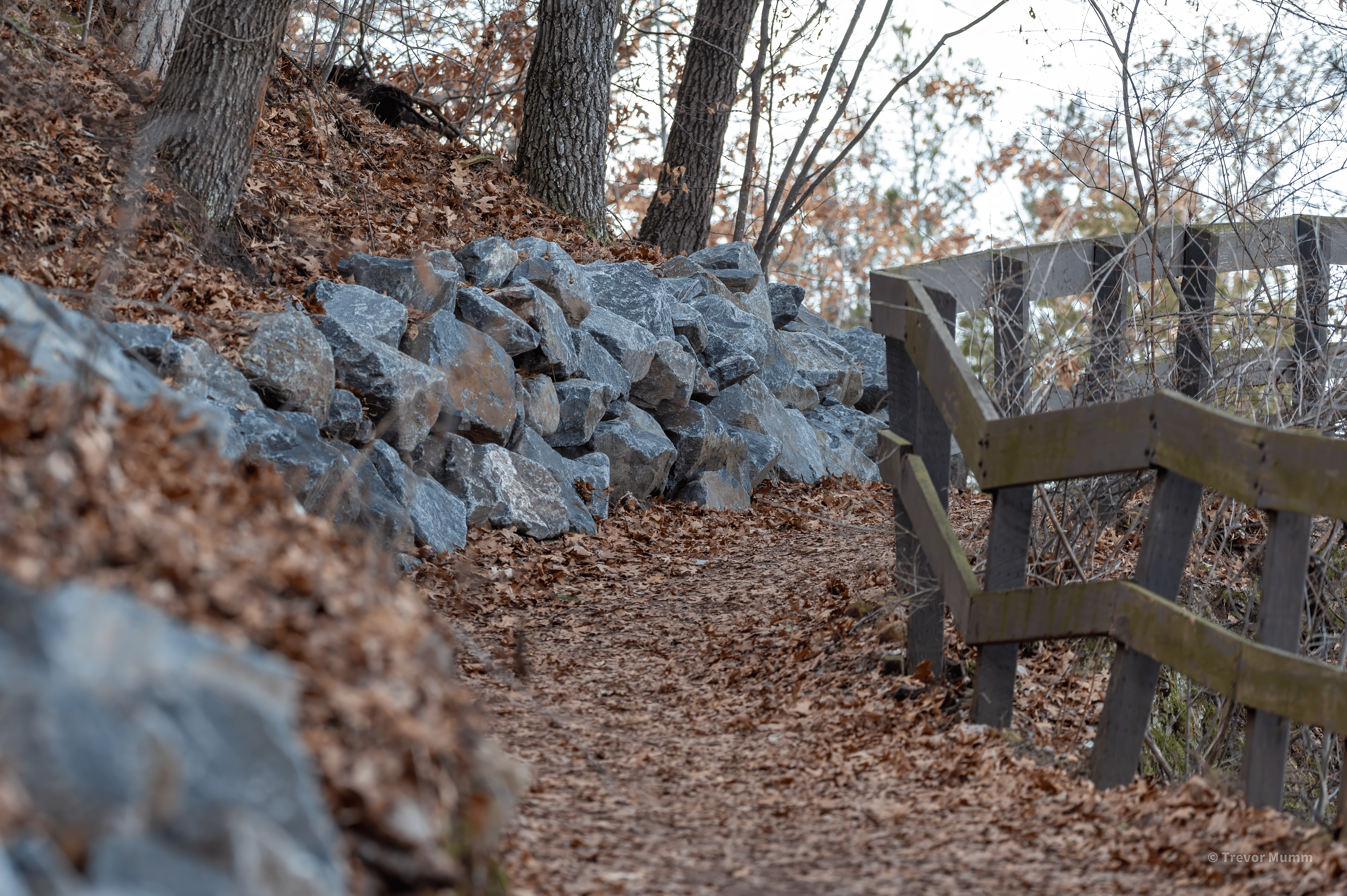 Railing | Putnam Loop