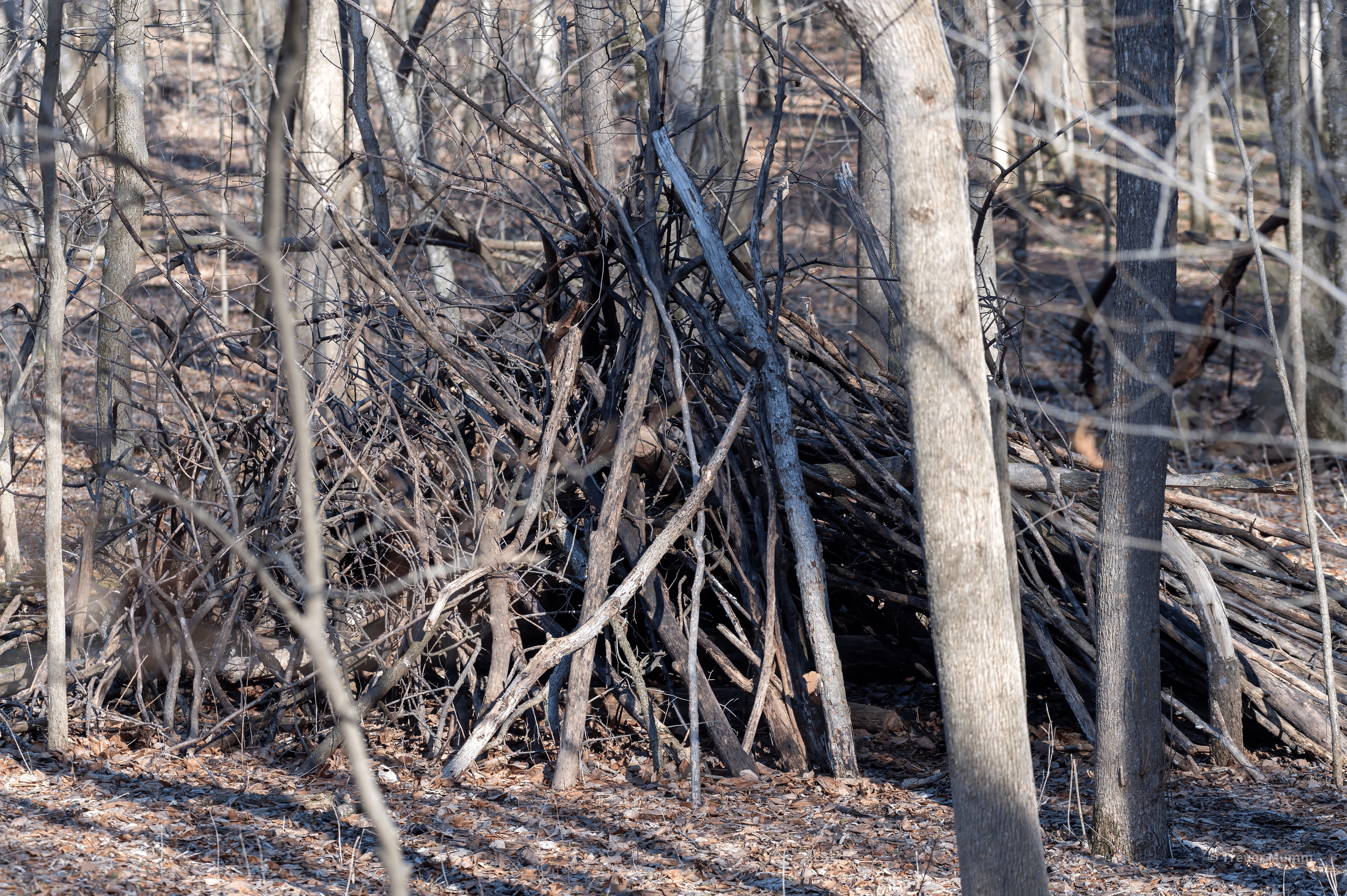 Homemade Shelter | Putnam Loop