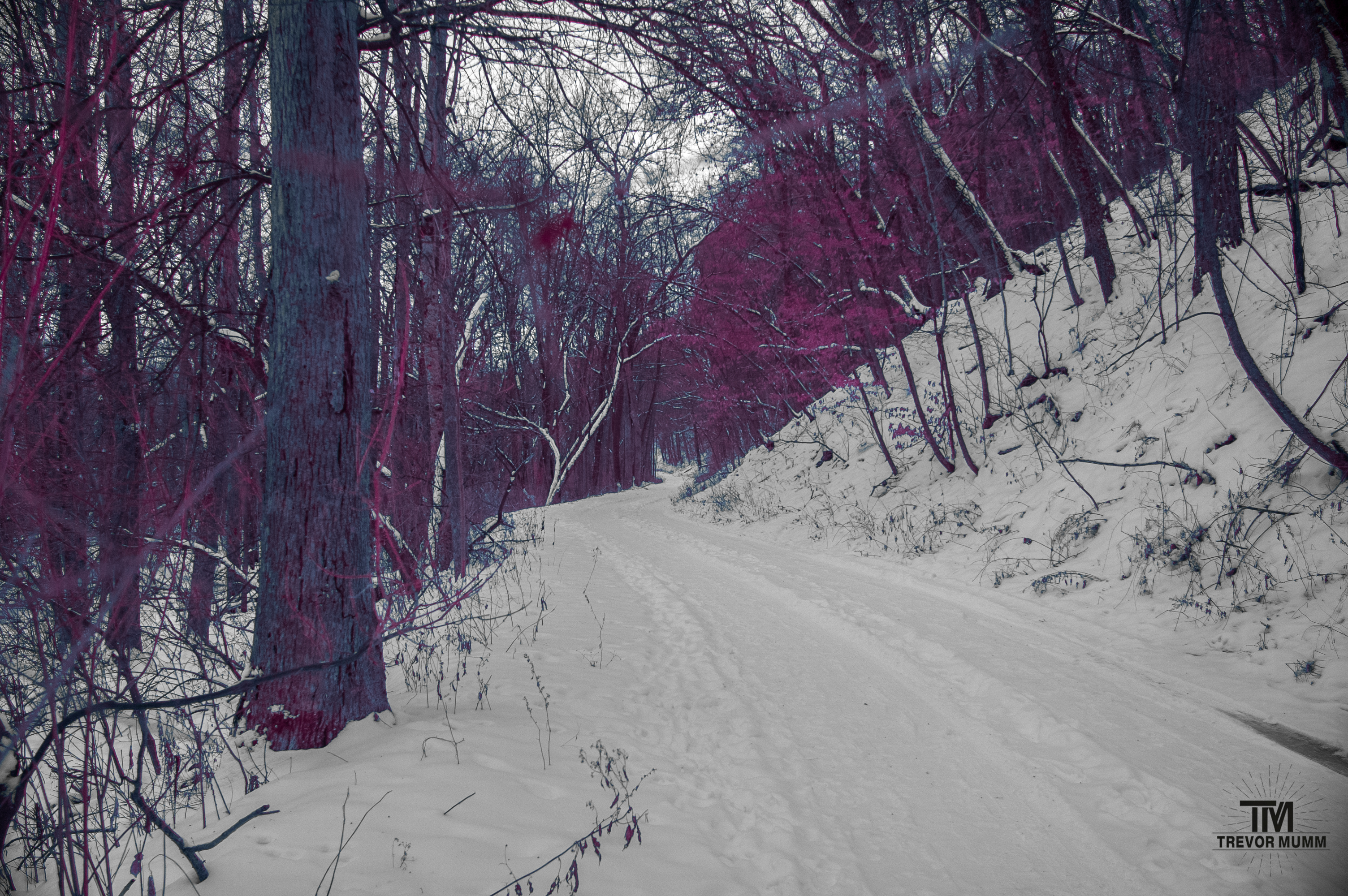 Putnam Park Trail in 550nm, Eau Claire WI | 12-7-25