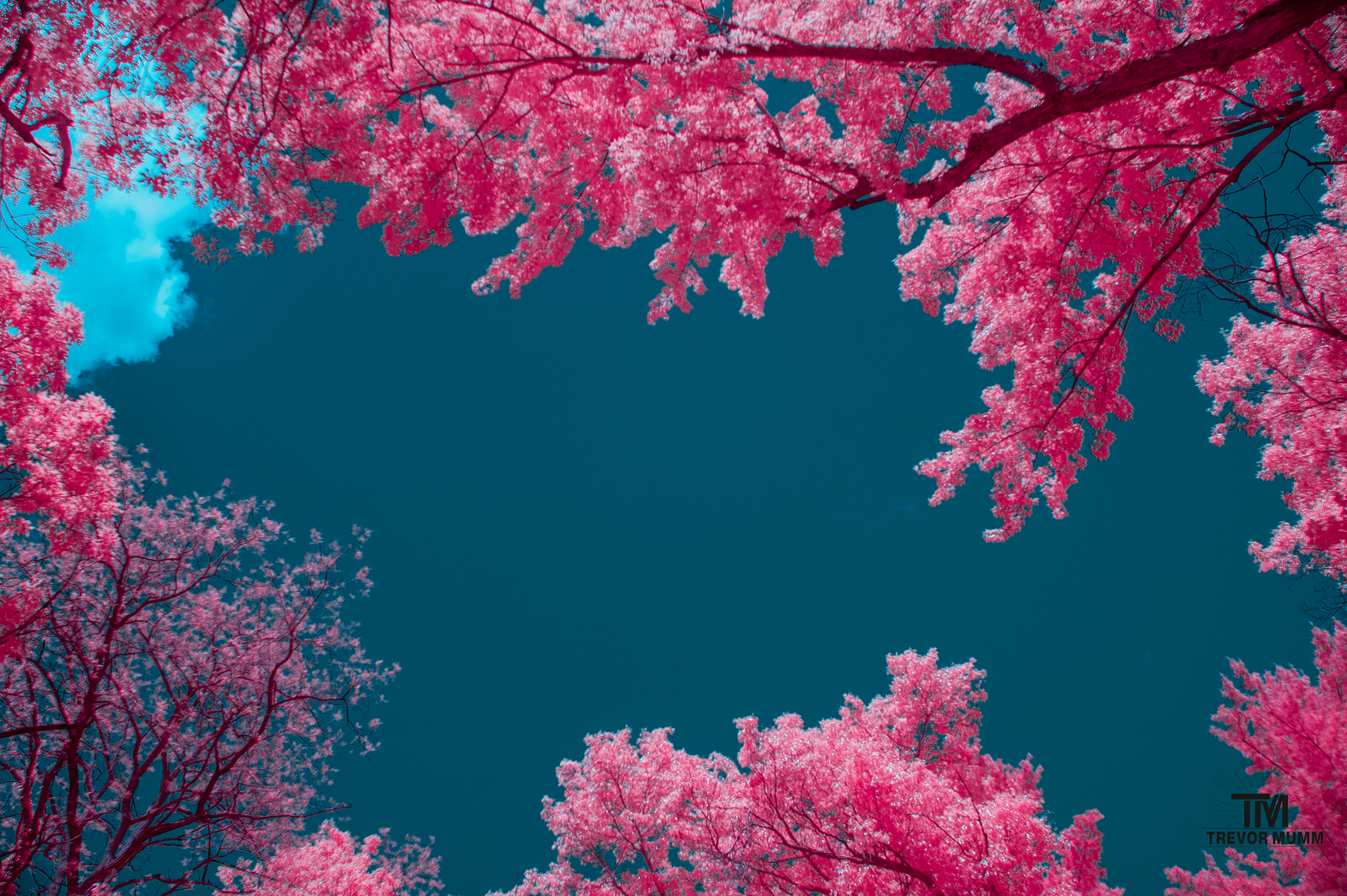 Putnam Park | Eau Claire, WI