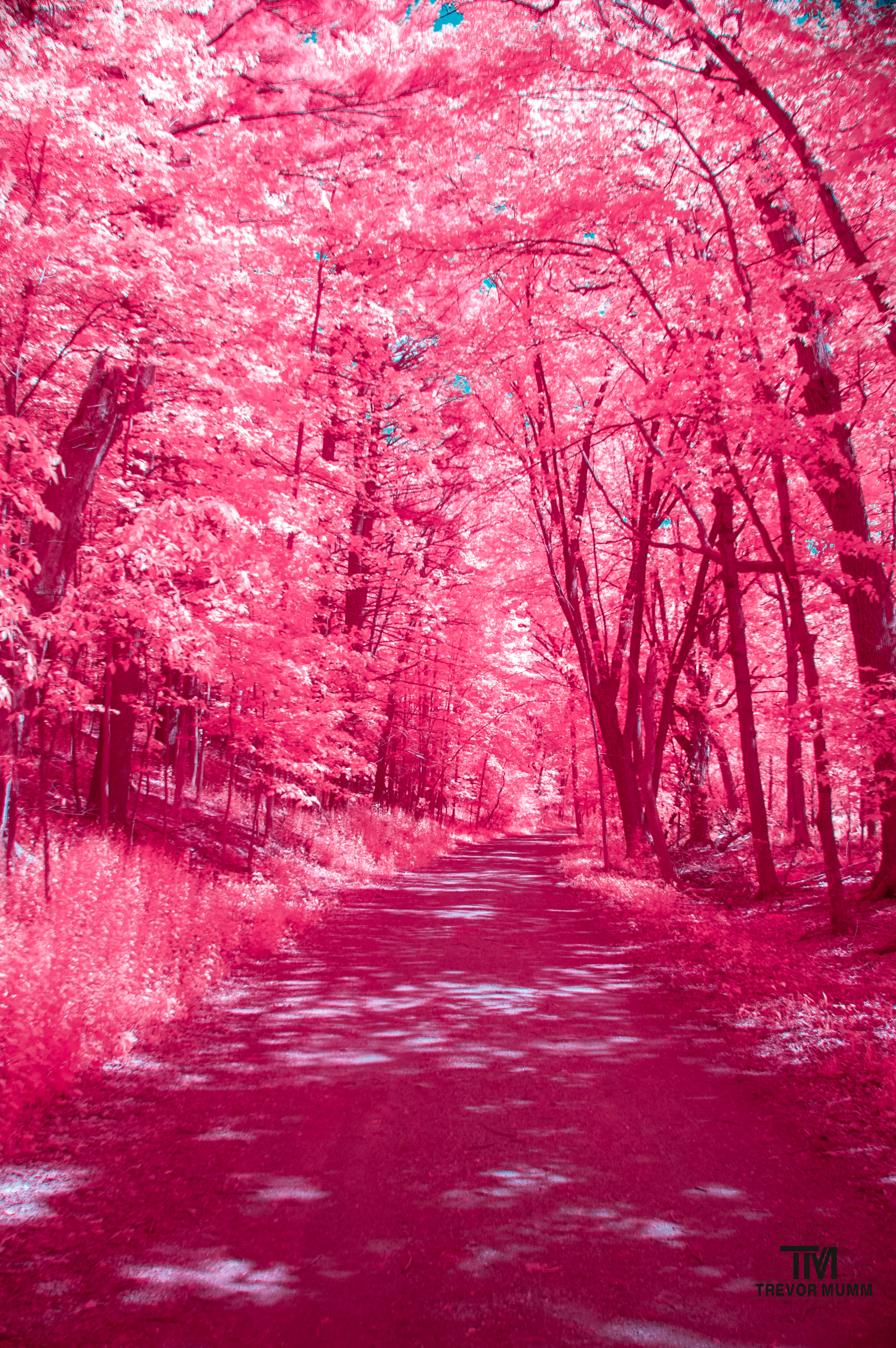 Putnam Park | Eau Claire, WI