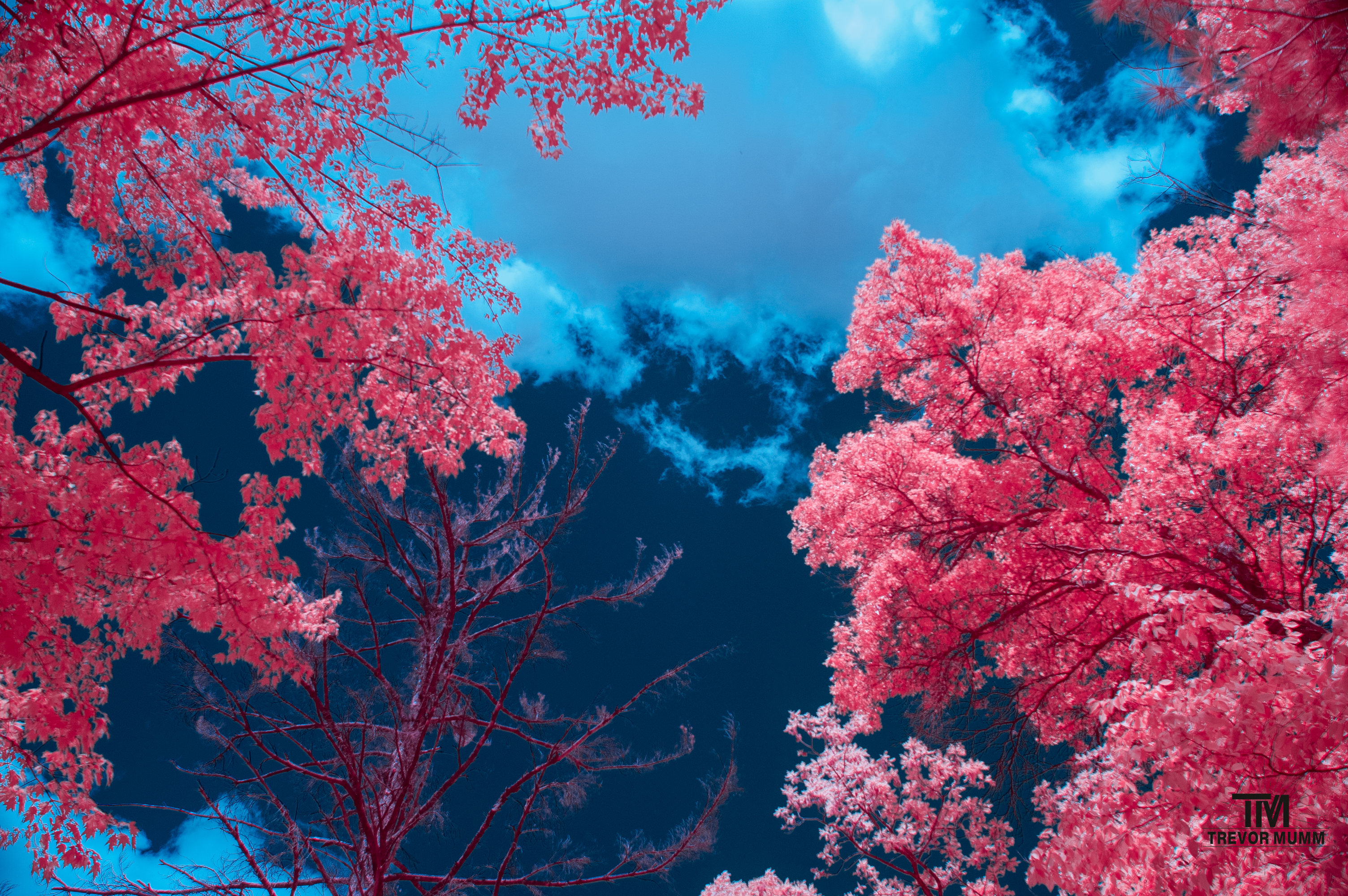 Putnam Park | Eau Claire, WI